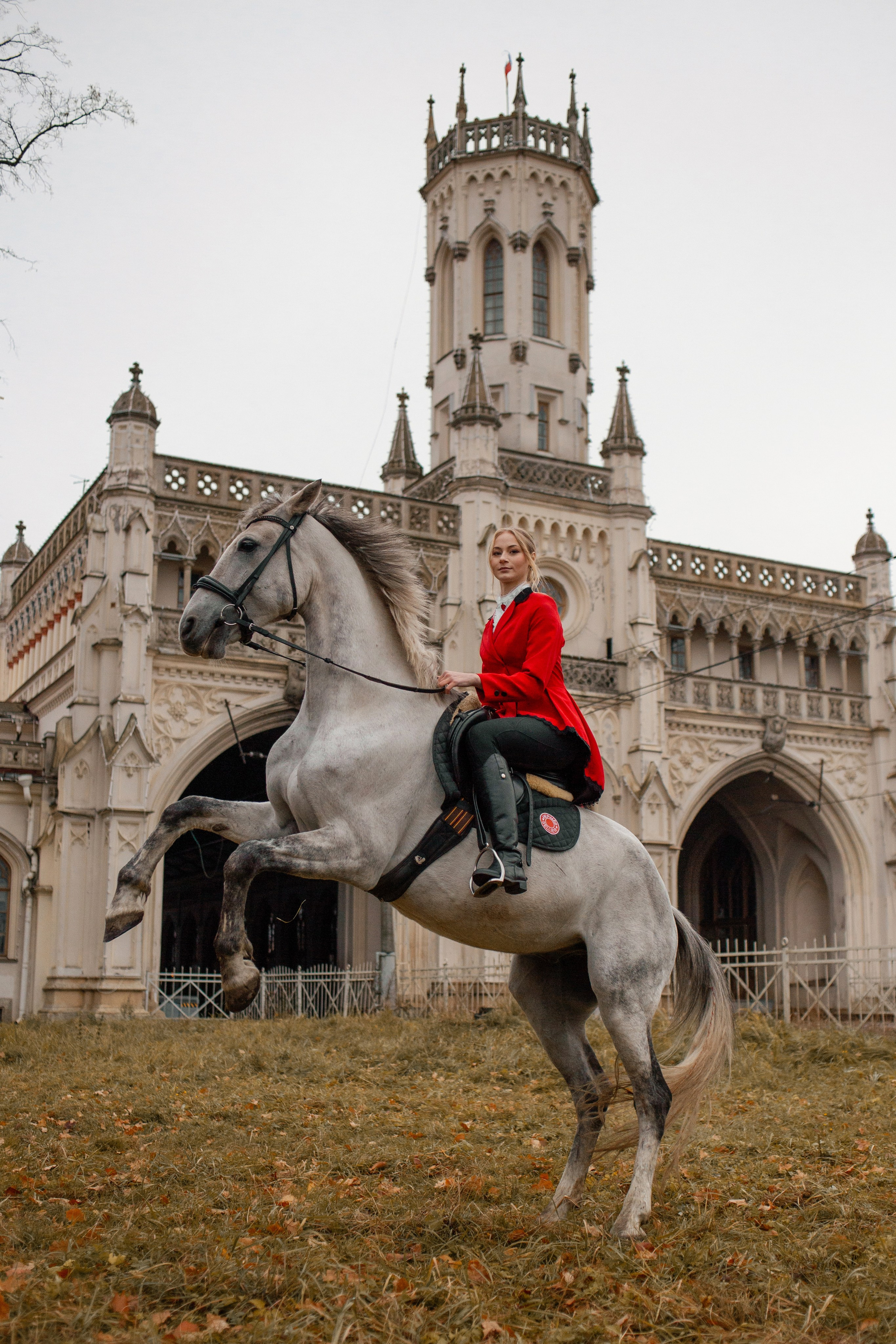 Настя и орловский рысак Павел