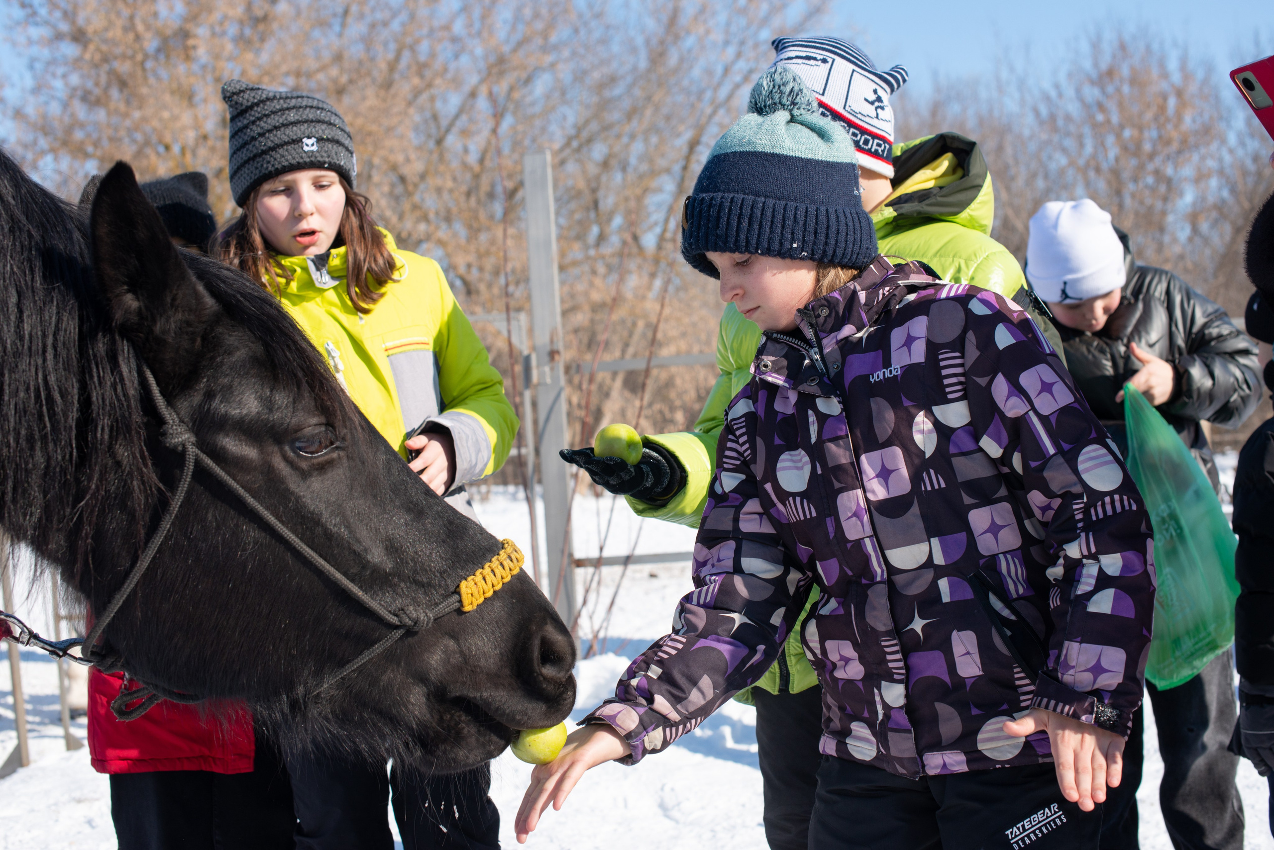 Масленичные гулянья в Боковке. Конный фотограф в Саратове Юлия Иванова