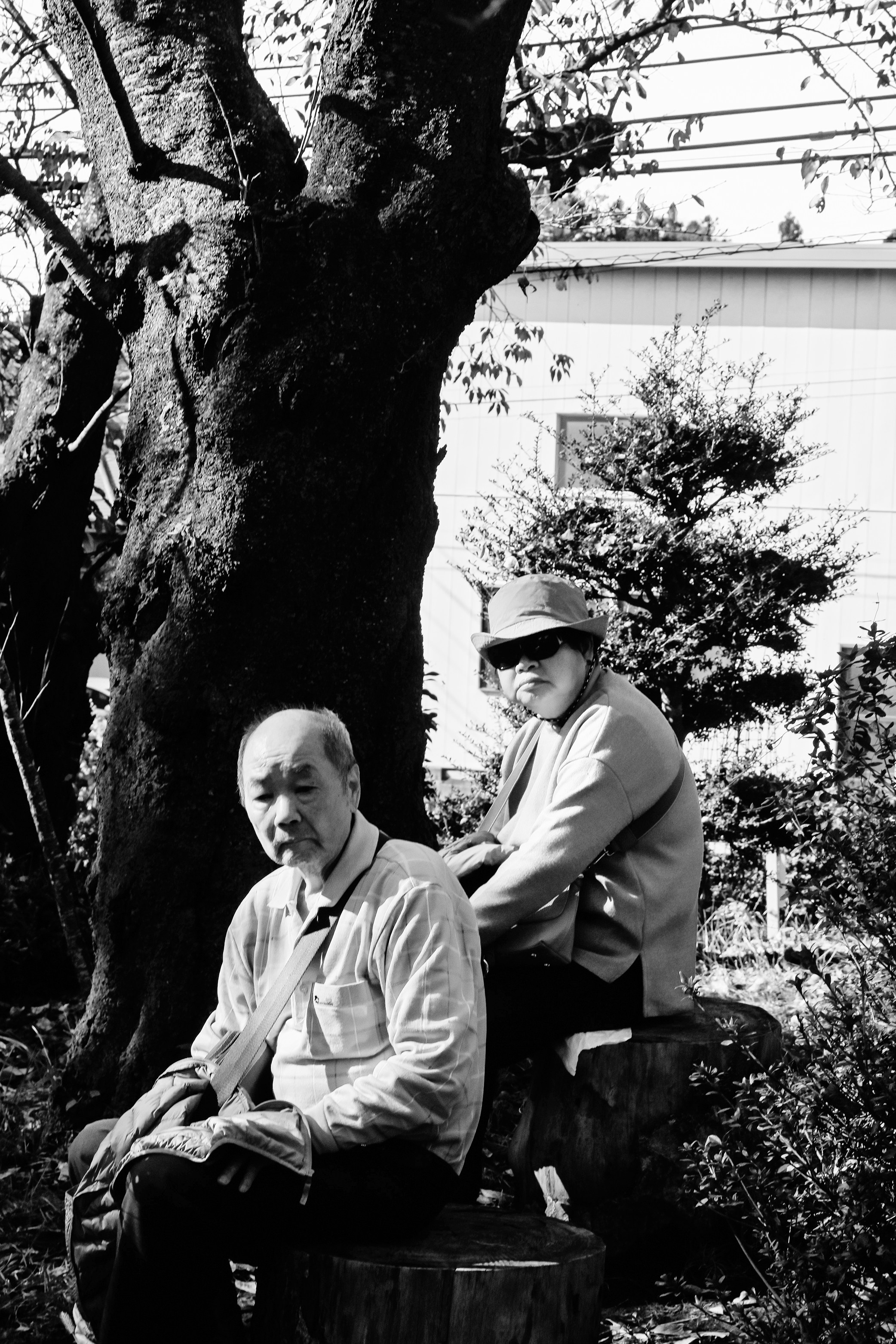 Japan village. Iraogo