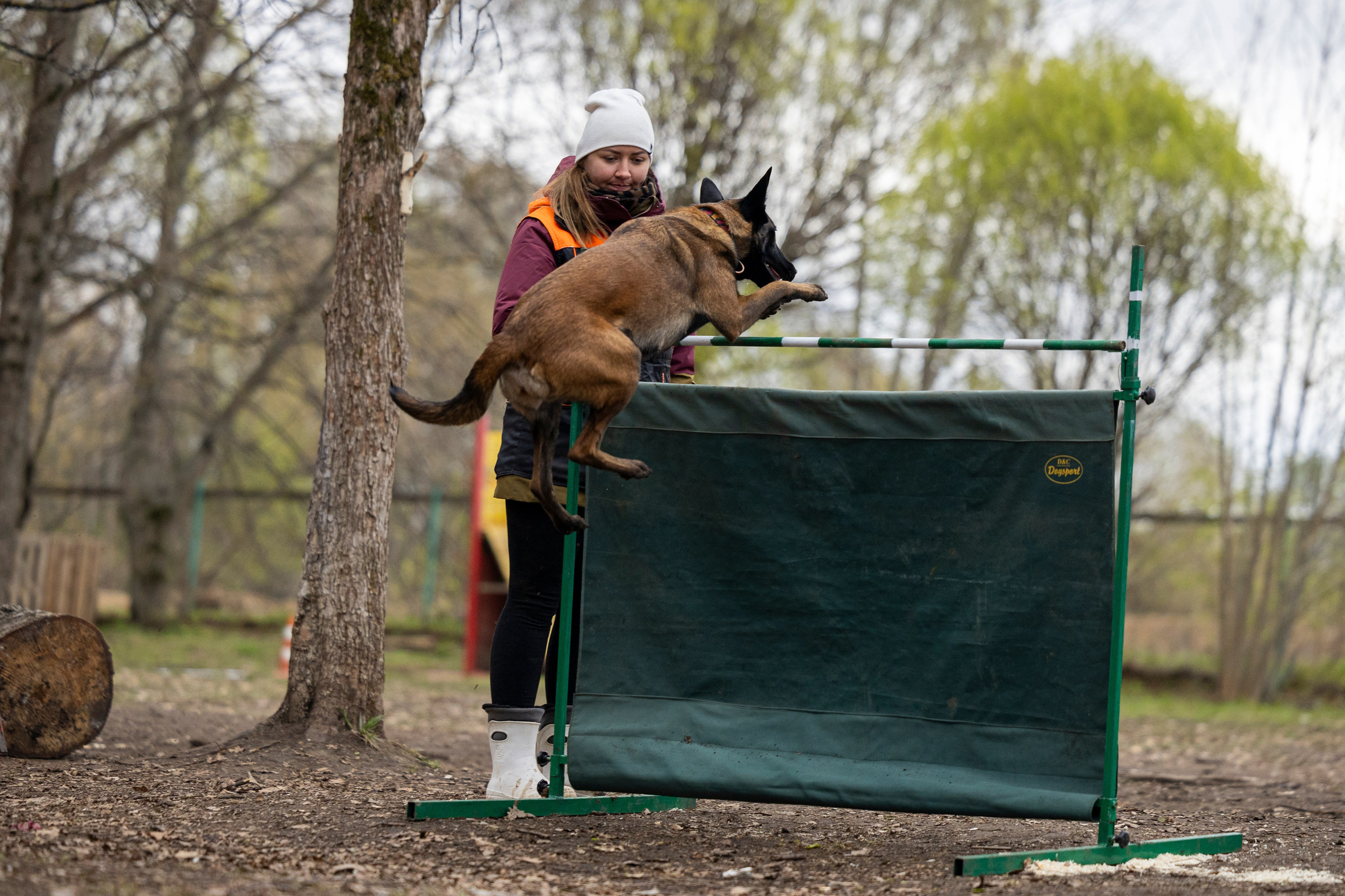 Квалификационные состязания по мондьорингу г. Вологда 11.05.24. Фотограф-анималист Анна Маринич
