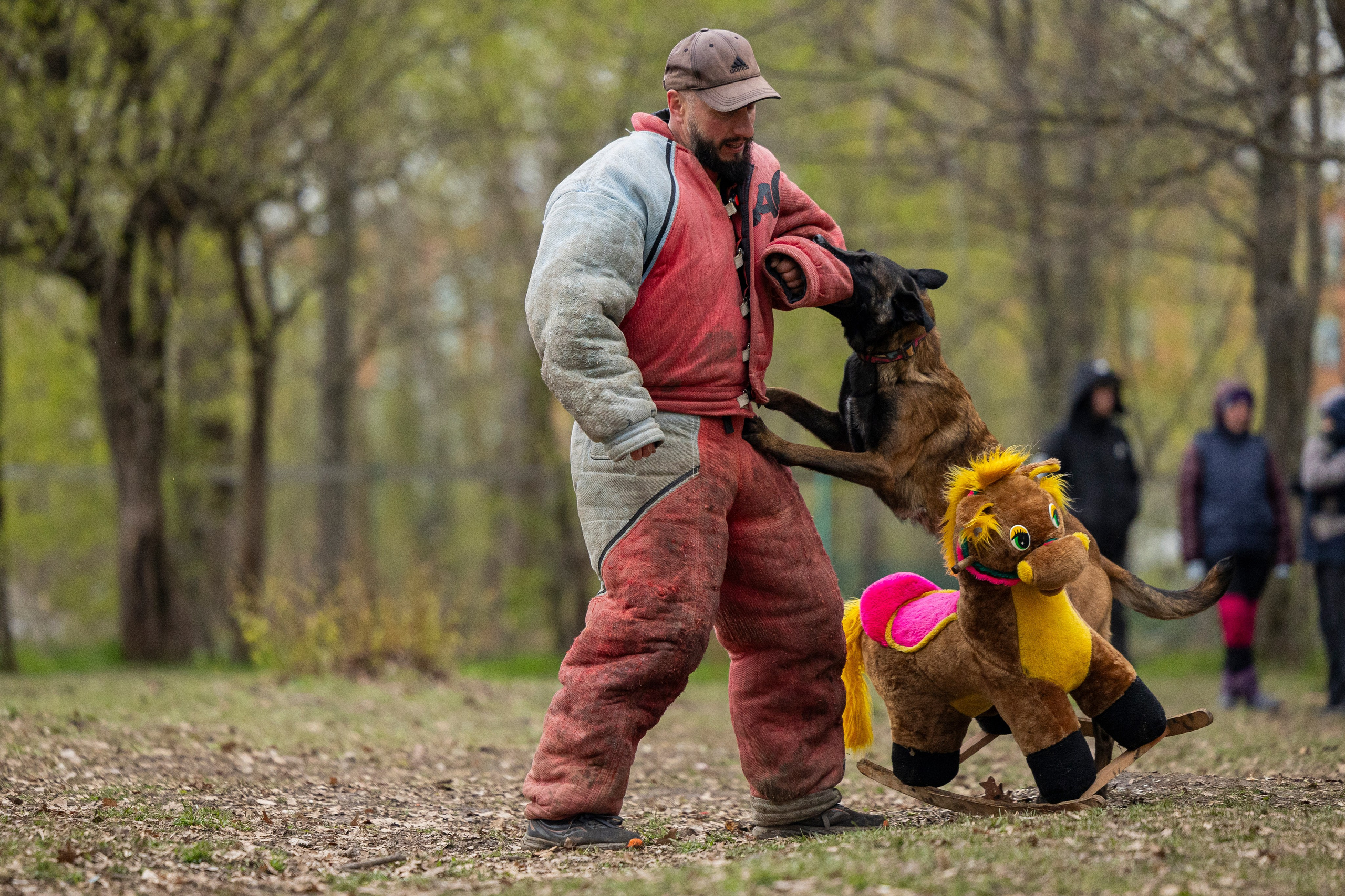 Квалификационные состязания по мондьорингу г. Вологда 11.05.24. Фотограф-анималист Анна Маринич