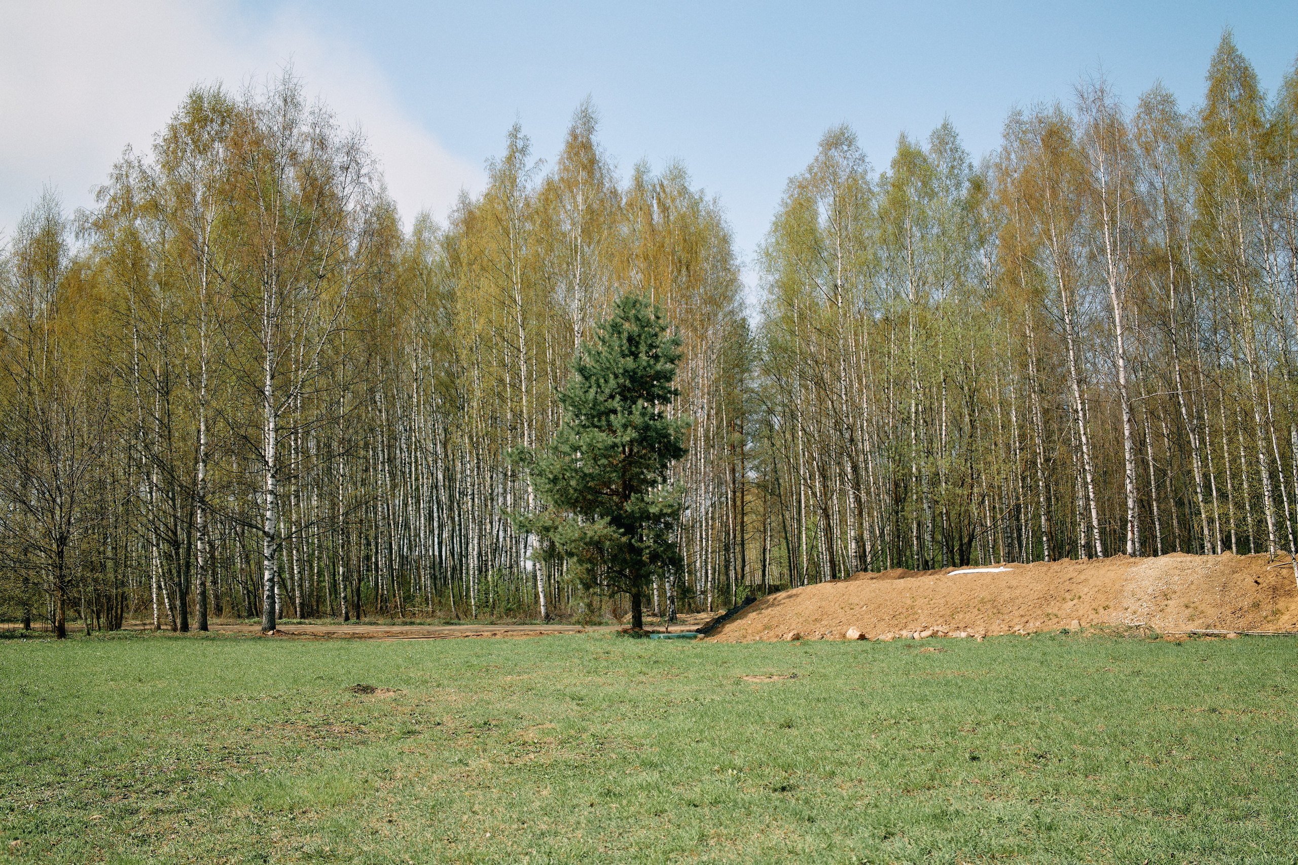 Бутик-отель Поле летом. Профессиональный Фотограф во Владимире, в Москве и в Суздале — Полина Романычева