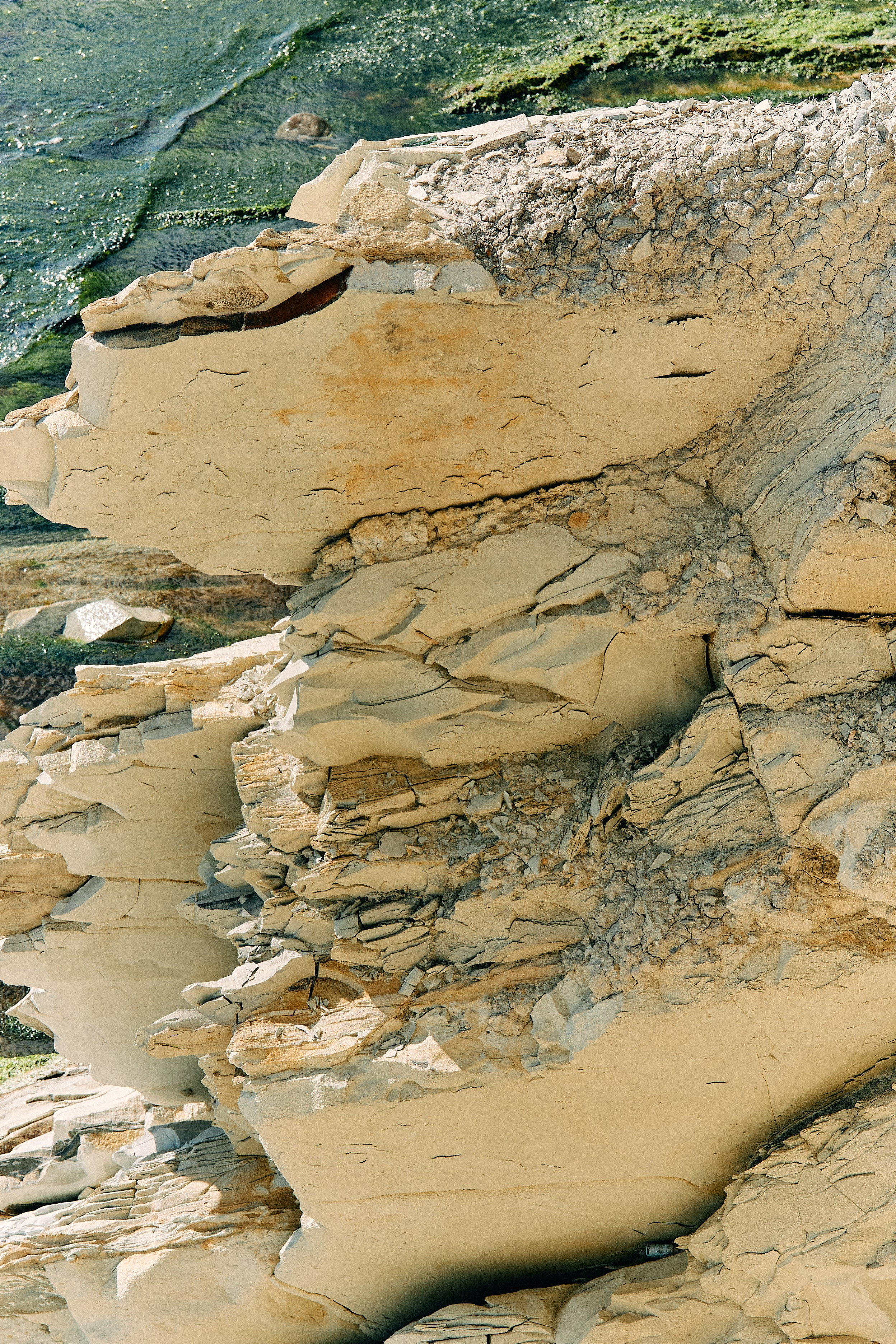 Юг России. Профессиональный Фотограф во Владимире, в Москве и в Суздале — Полина Романычева