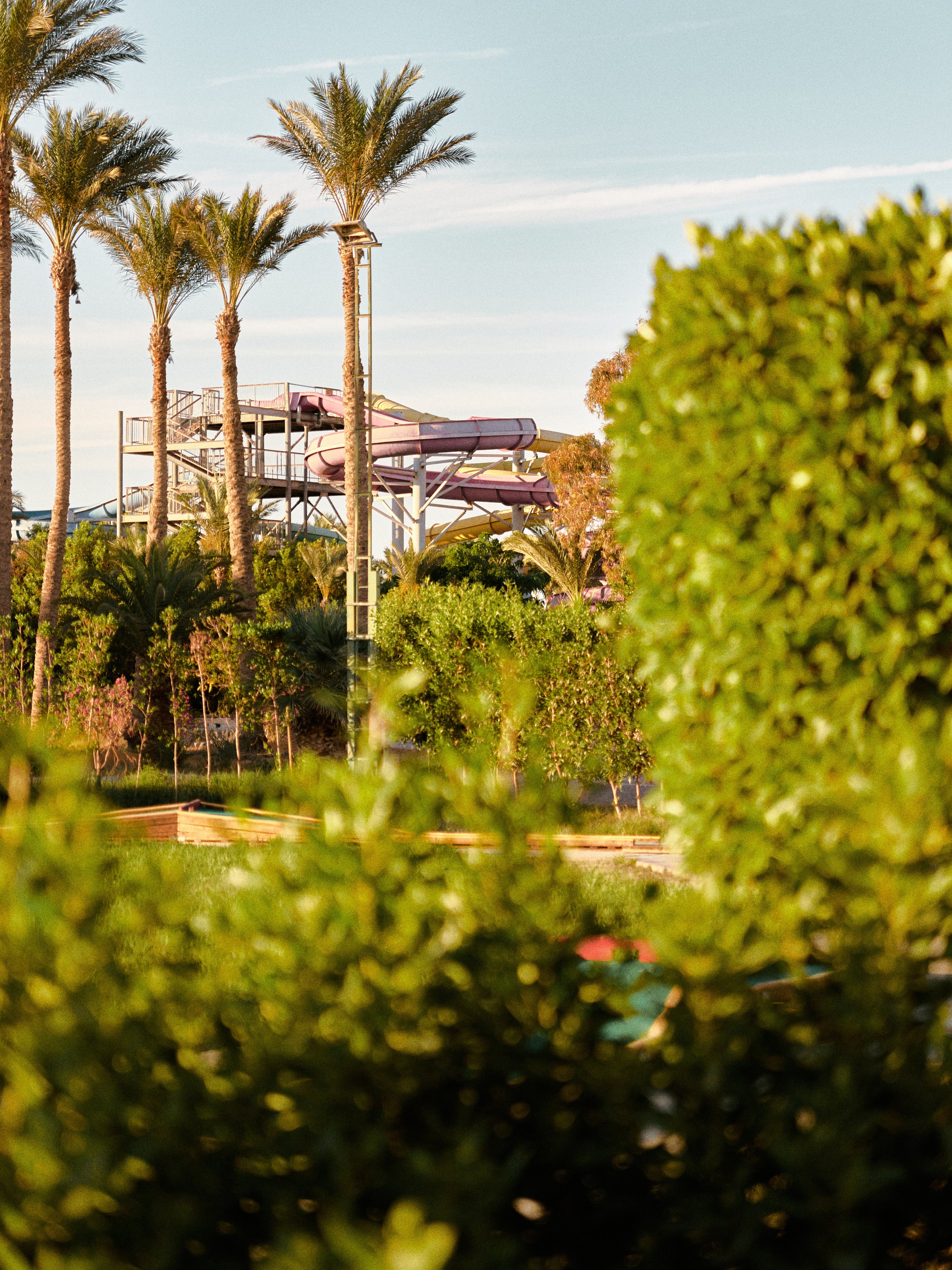 Природа сквозь. Jorgis Talè — photographer, kind person, teacher of arts and other mag