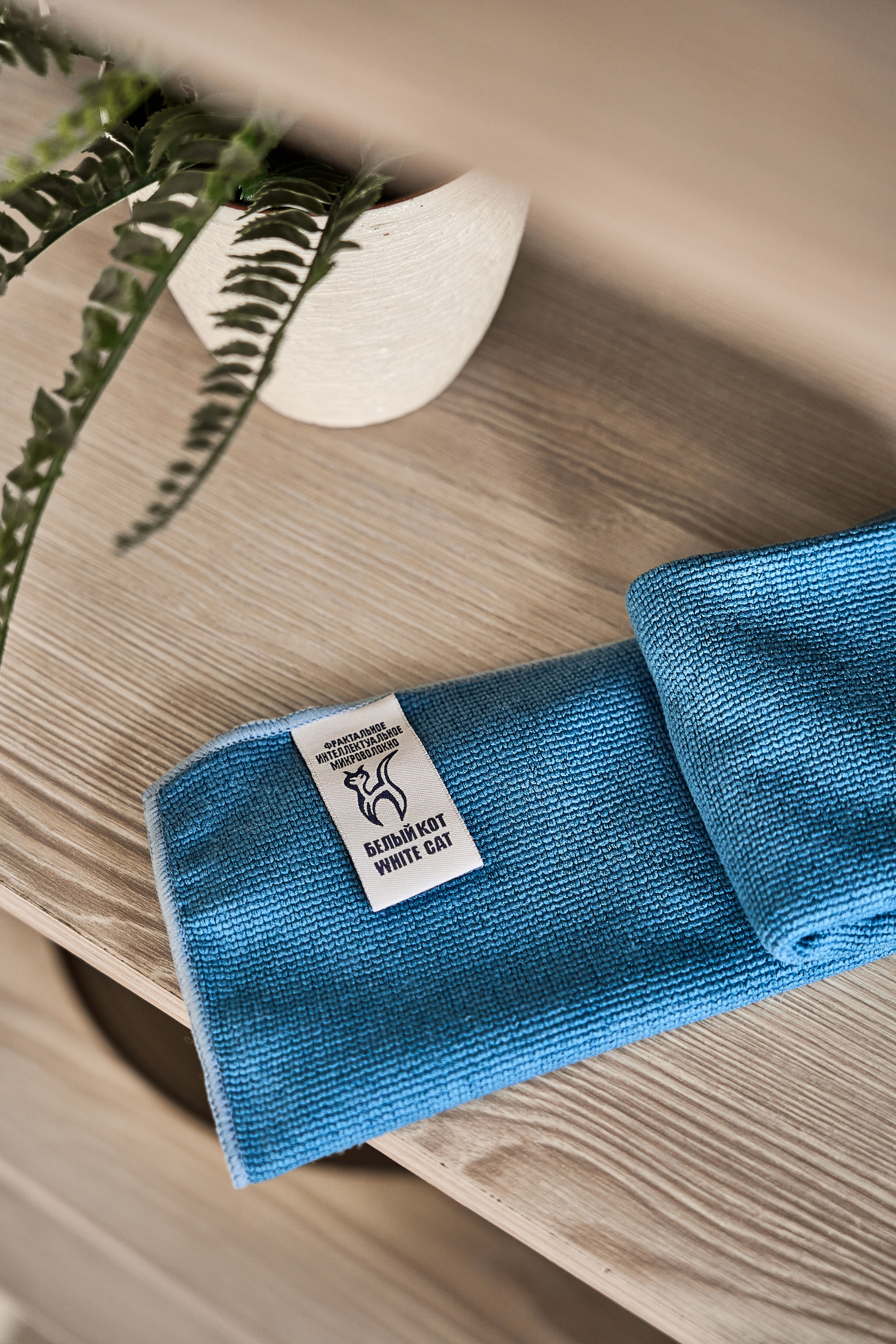 White cat. Фотограф в Москве Казакова Анна