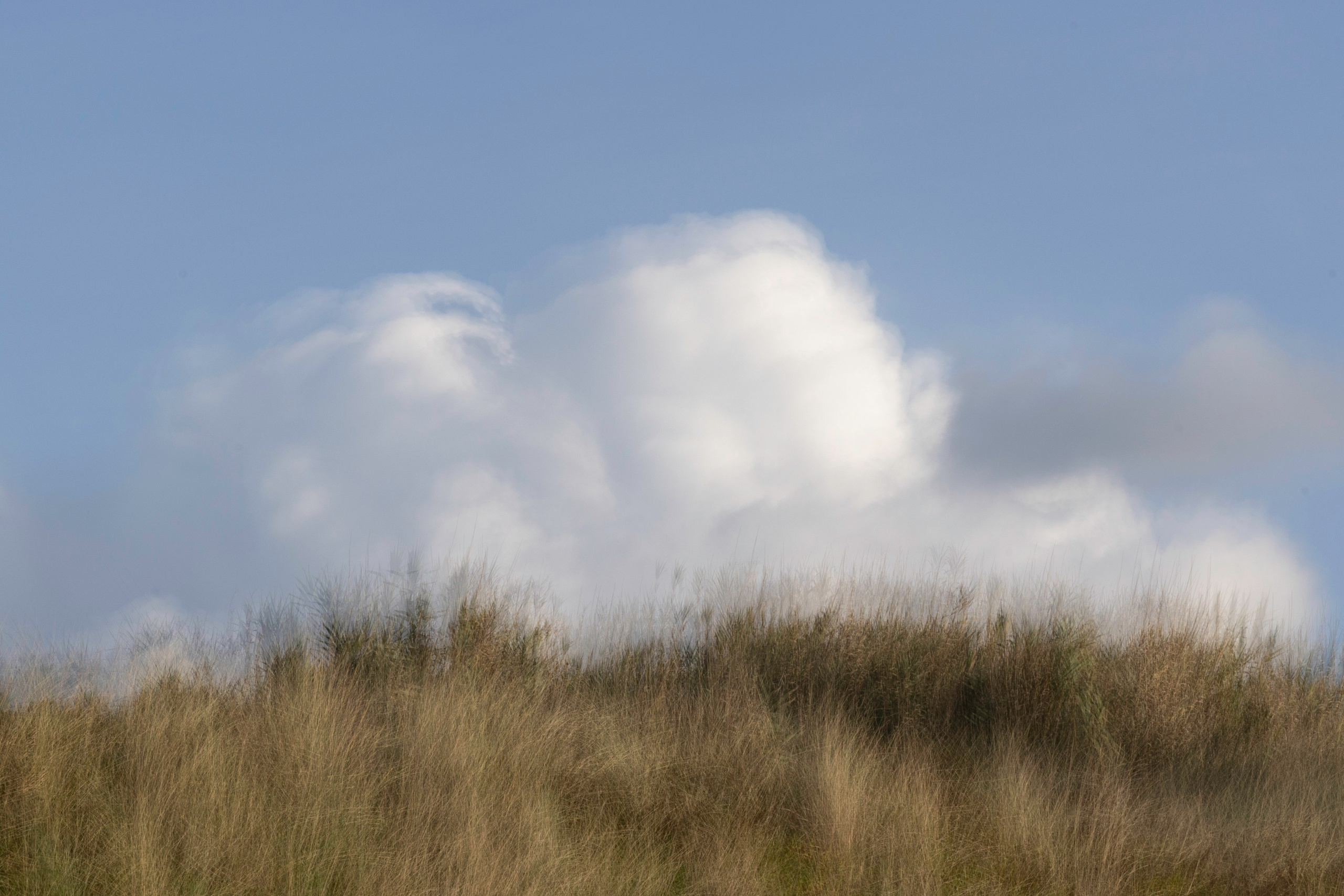 Art prints. Фотограф алина стерхова, алина стерхова фотограф, фотограф москва