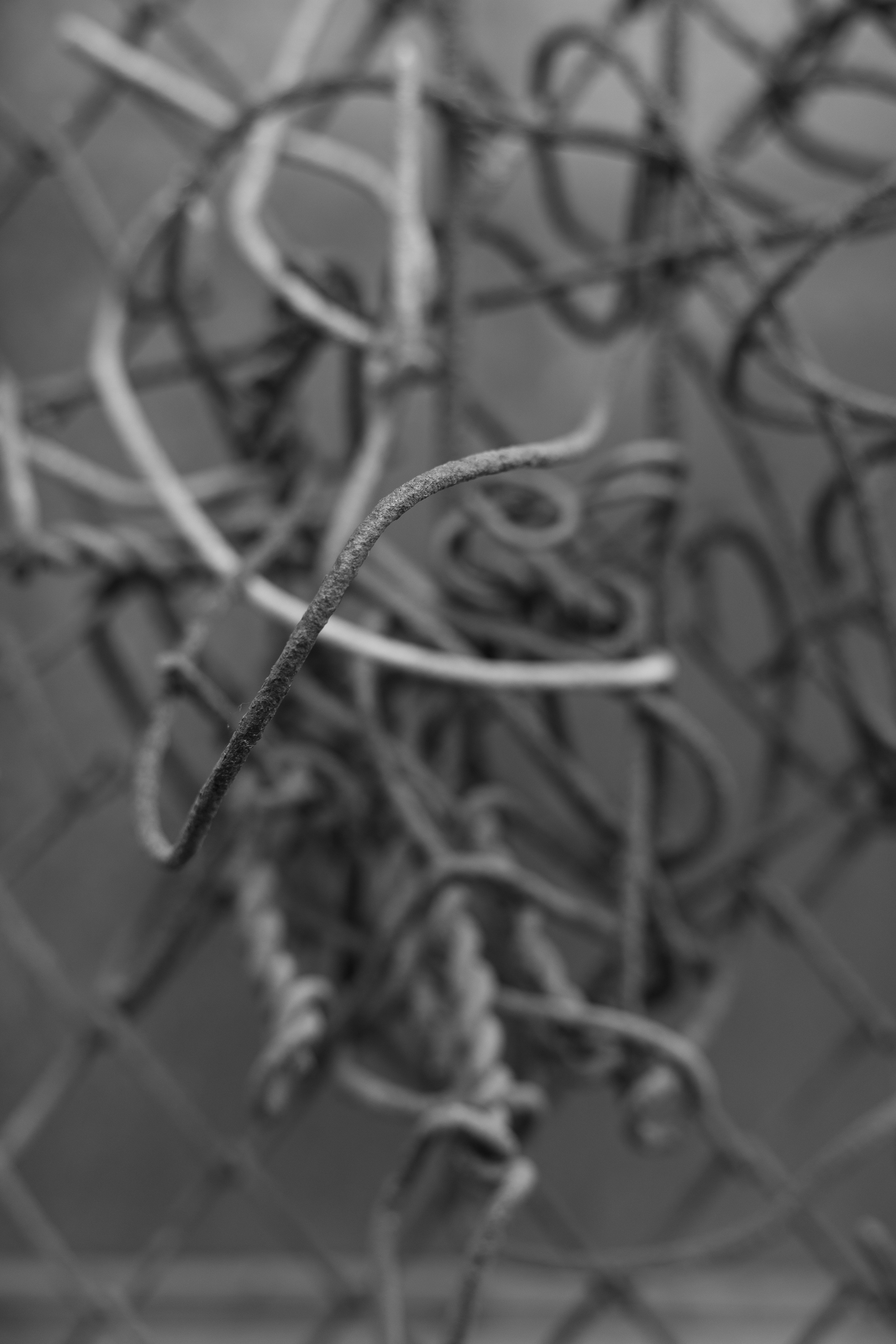 Точка сборки | The assembly point. Фотограф алина стерхова, алина стерхова фотограф, фотограф москва