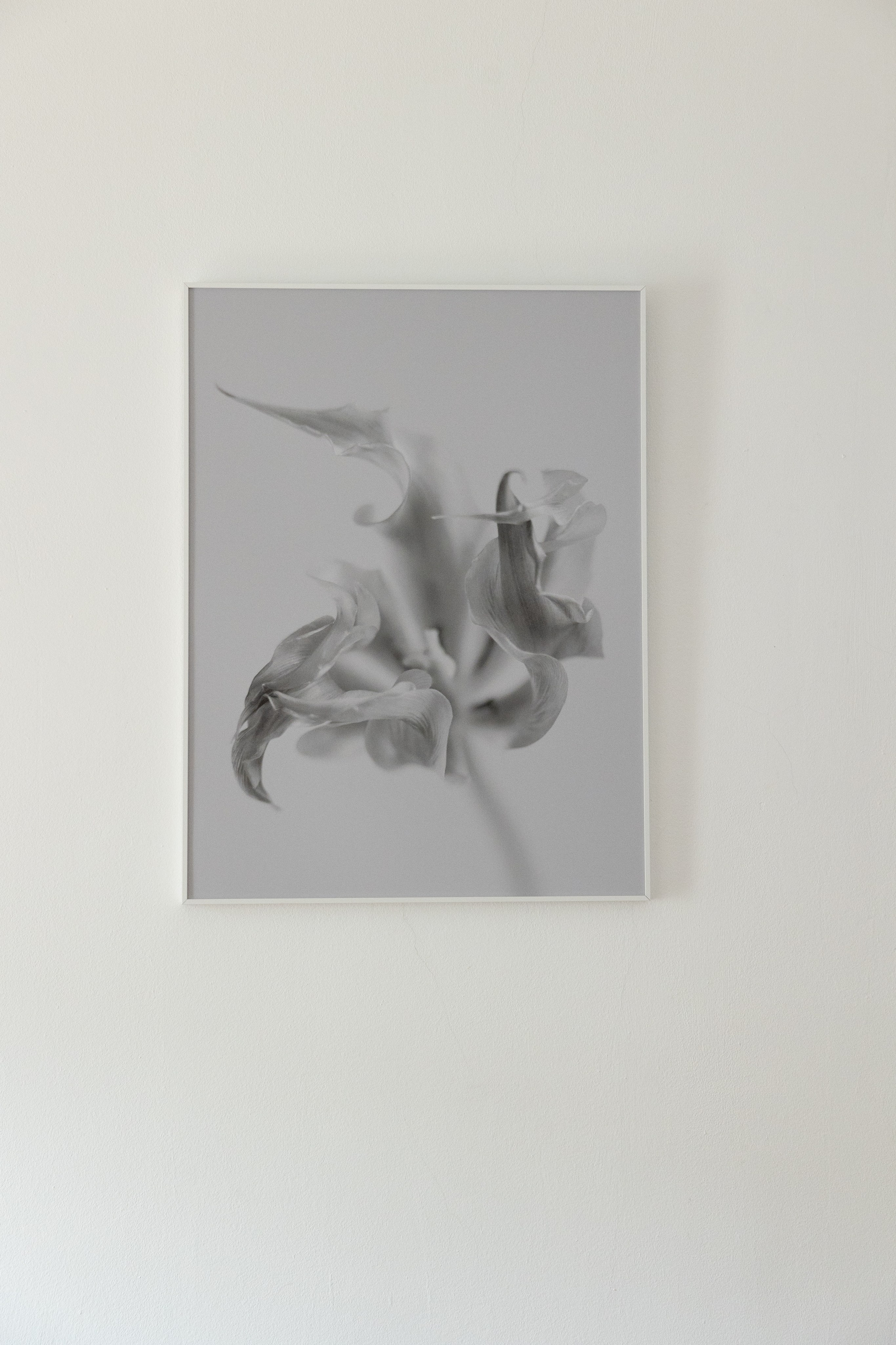 Personal exhibition Interior landscape 2025. Фотограф алина стерхова, алина стерхова фотограф, фотограф москва