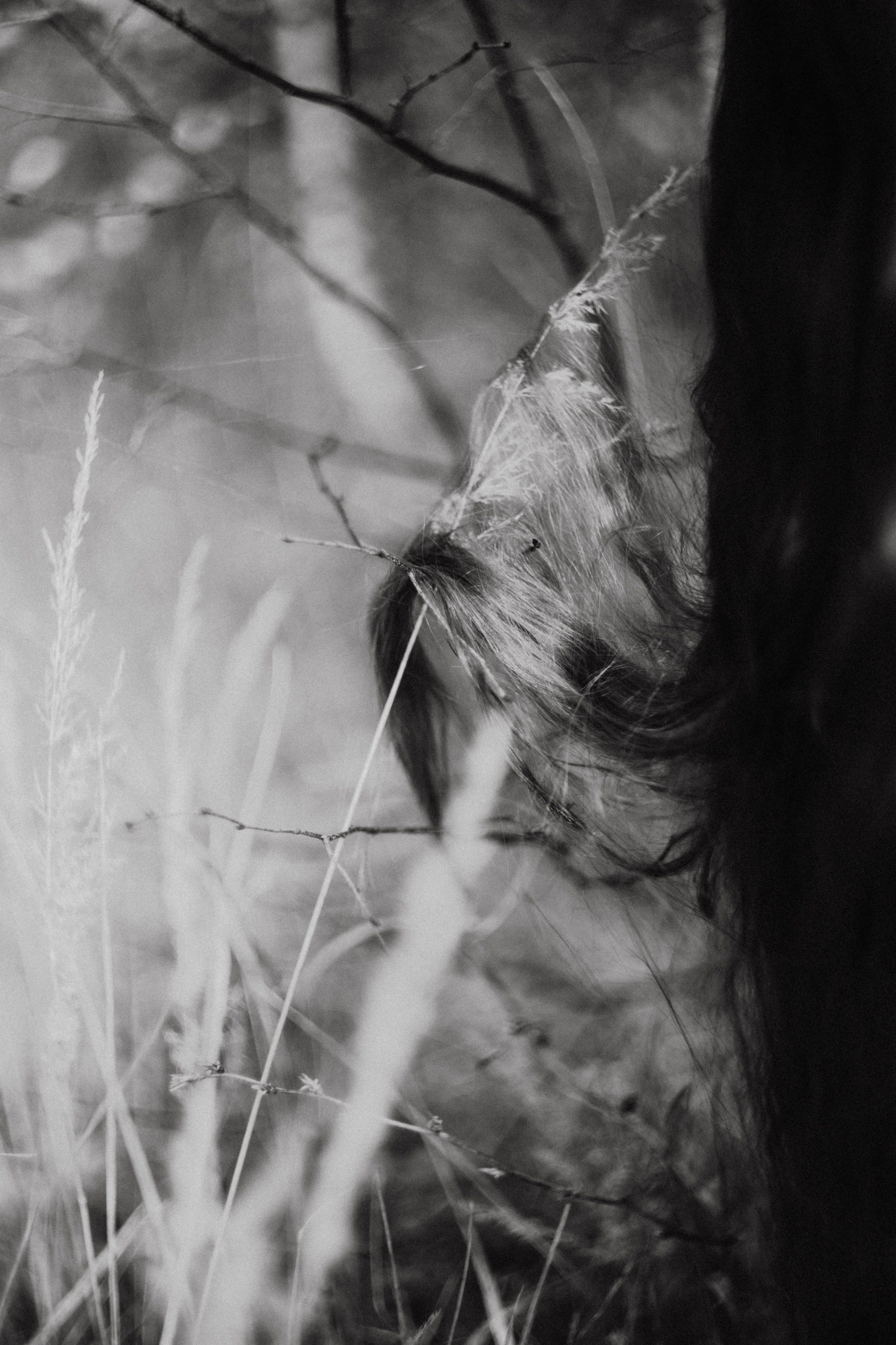 Алиса+ Алёна. Фотограф в Нижнем Новгороде