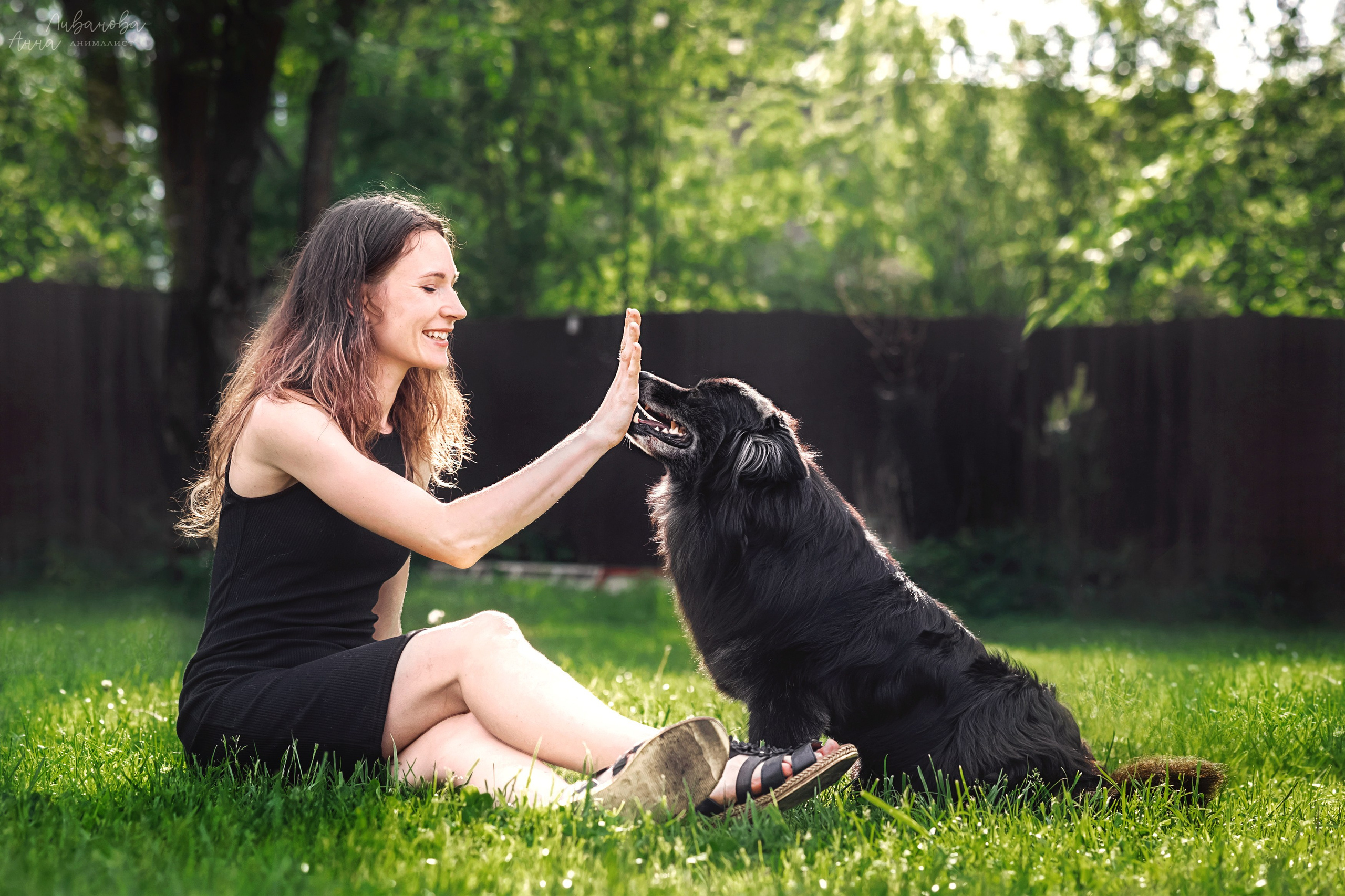 Рита и Ко. Фотограф анималист Аня Ливанова | Рыбинск