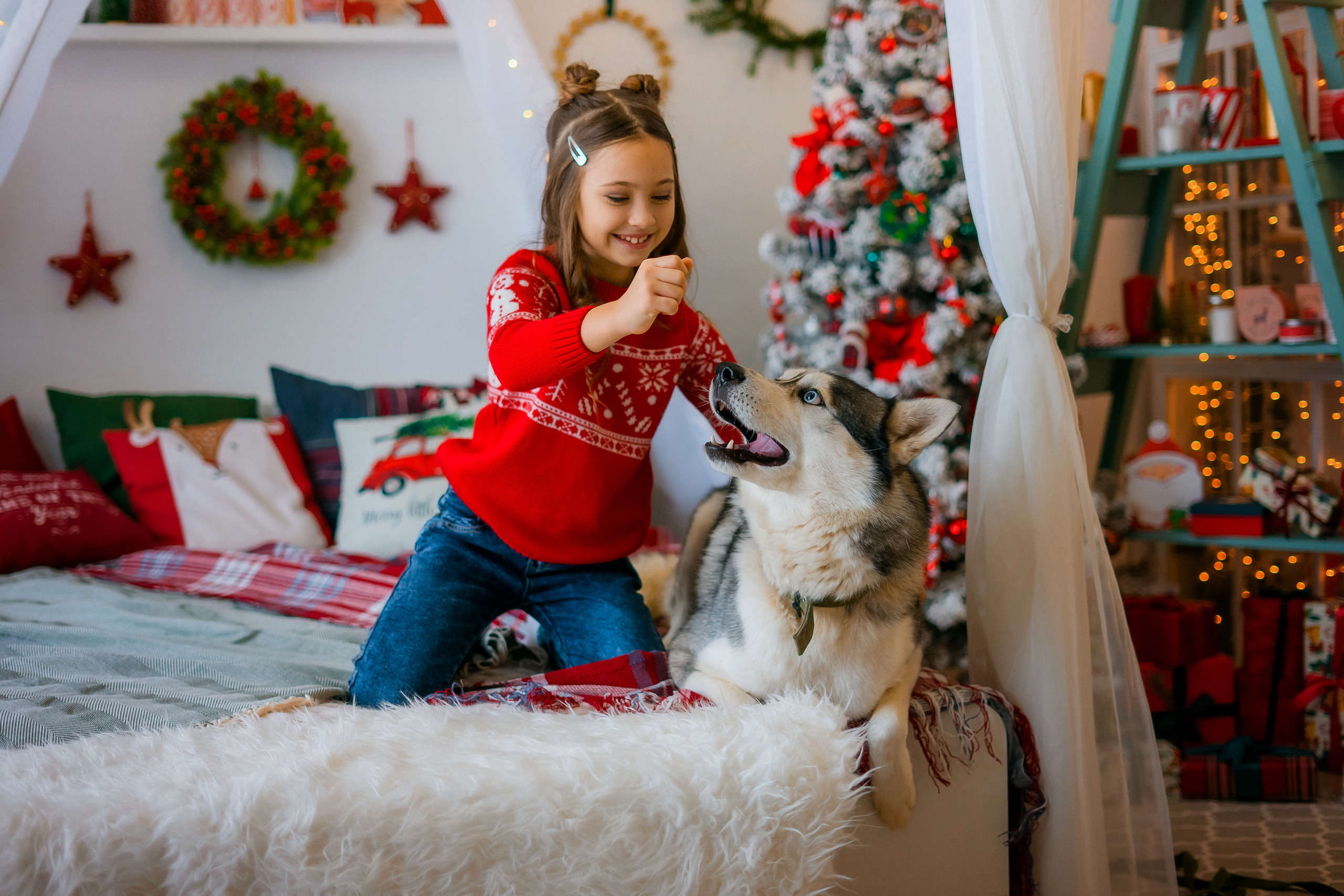 ПУШИСТОЕ РОЖДЕСТВО. Photographer in Egypt, Hurghada, Luxor, Safaga