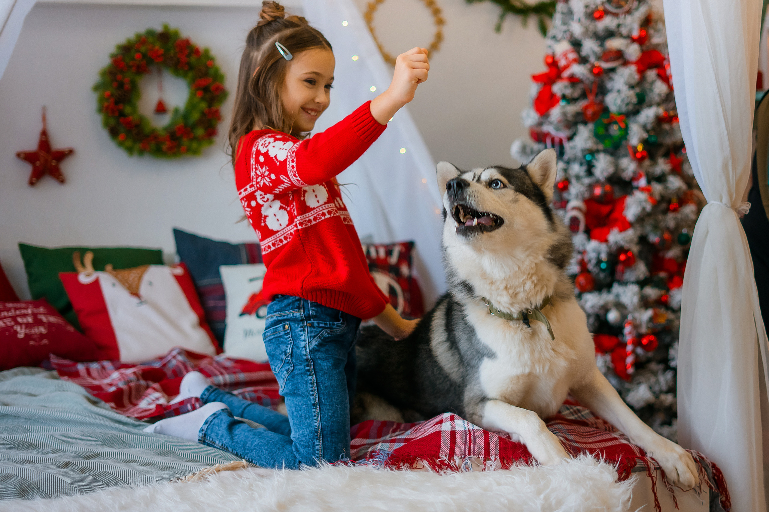 ПУШИСТОЕ РОЖДЕСТВО. Photographer in Egypt, Hurghada, Luxor, Safaga