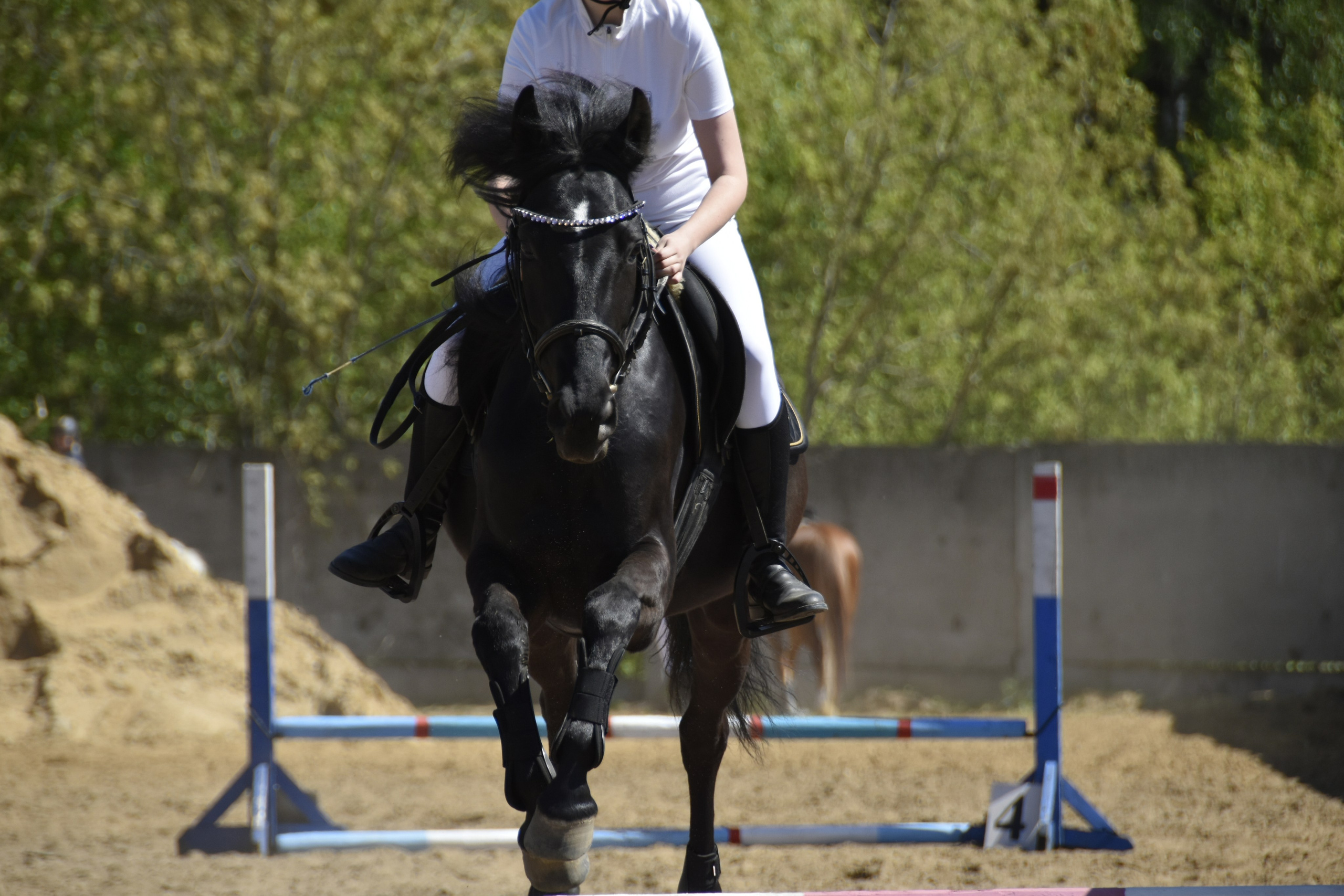 Соревнования по конкуру. КСК «Галактика». Конный фотограф Москва