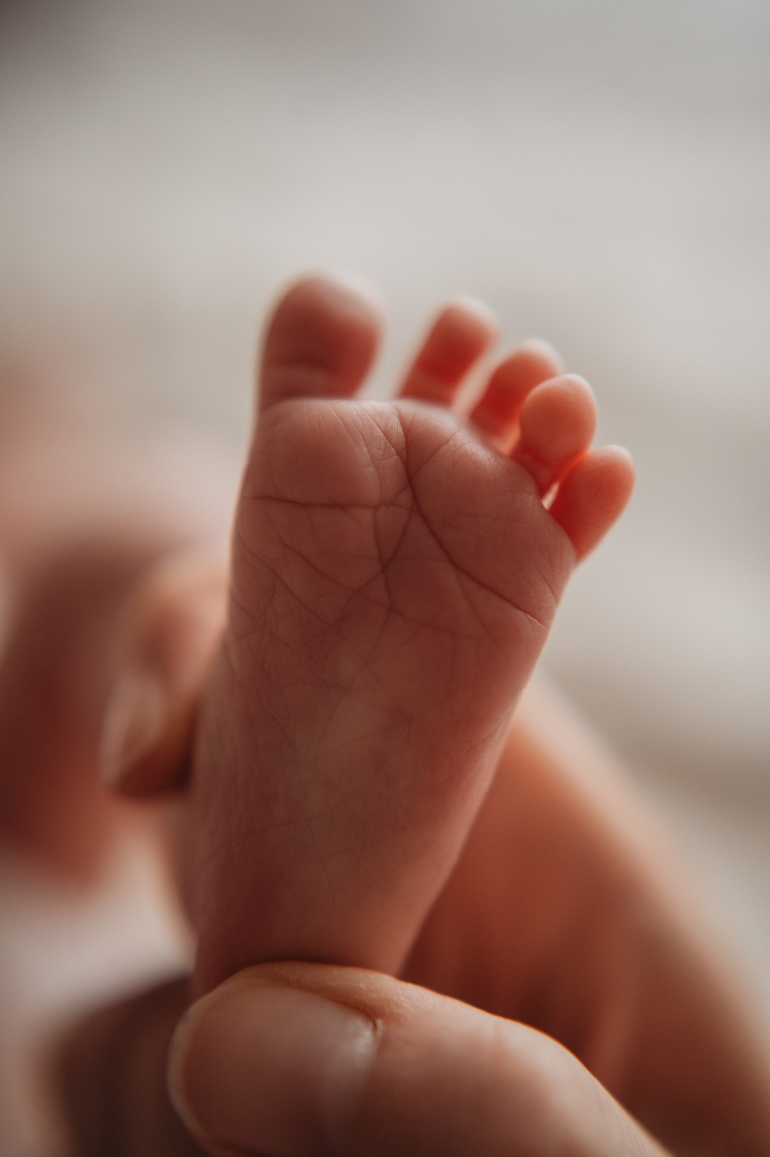 Рита, Влад и Петя. Дьяконова Валерия семейный и детский фотограф в Санкт-Петербурге