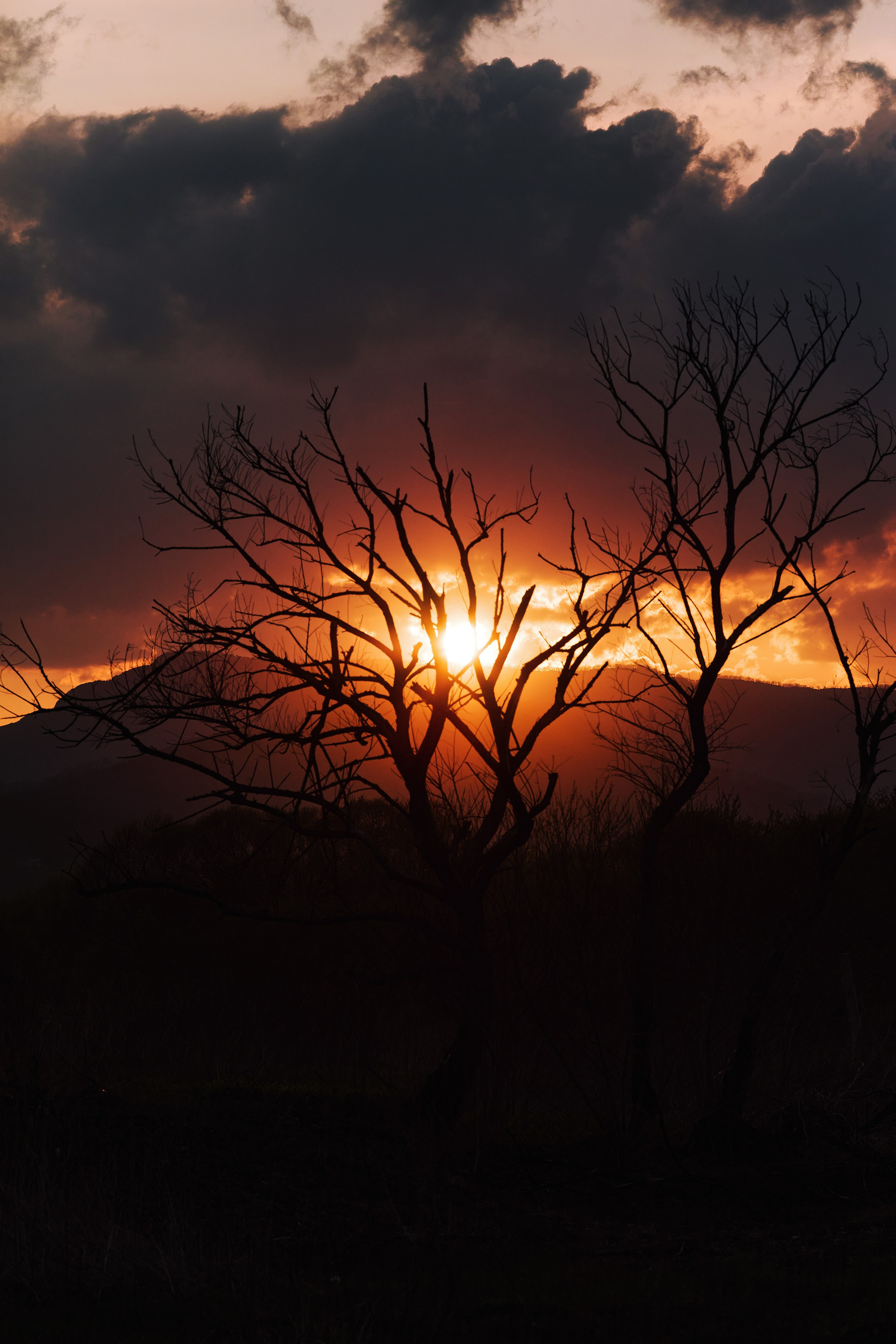 Фотостудии в Находке с циклорамой и фонами