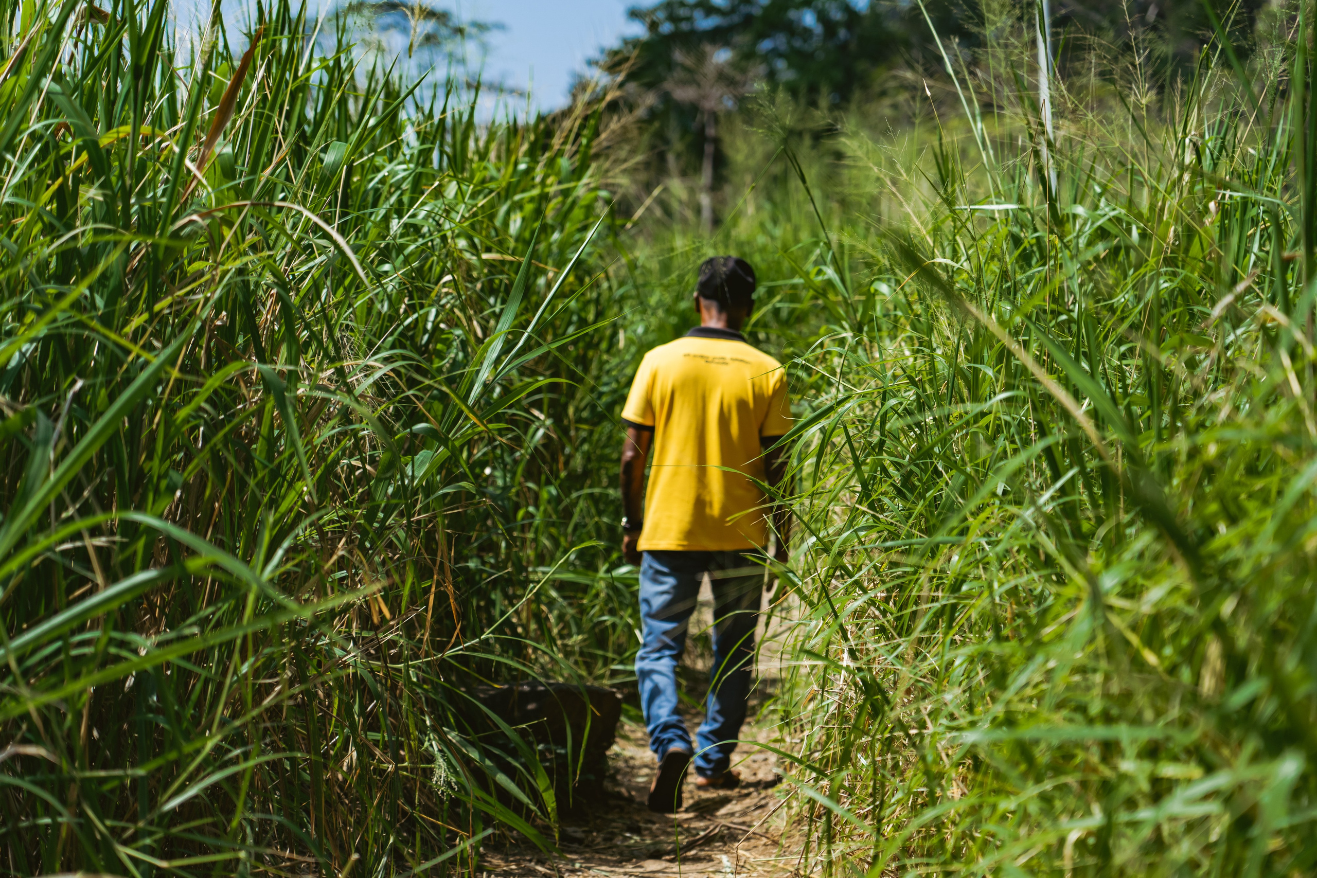 Promo content shooting for Ceylon Forward Tours
