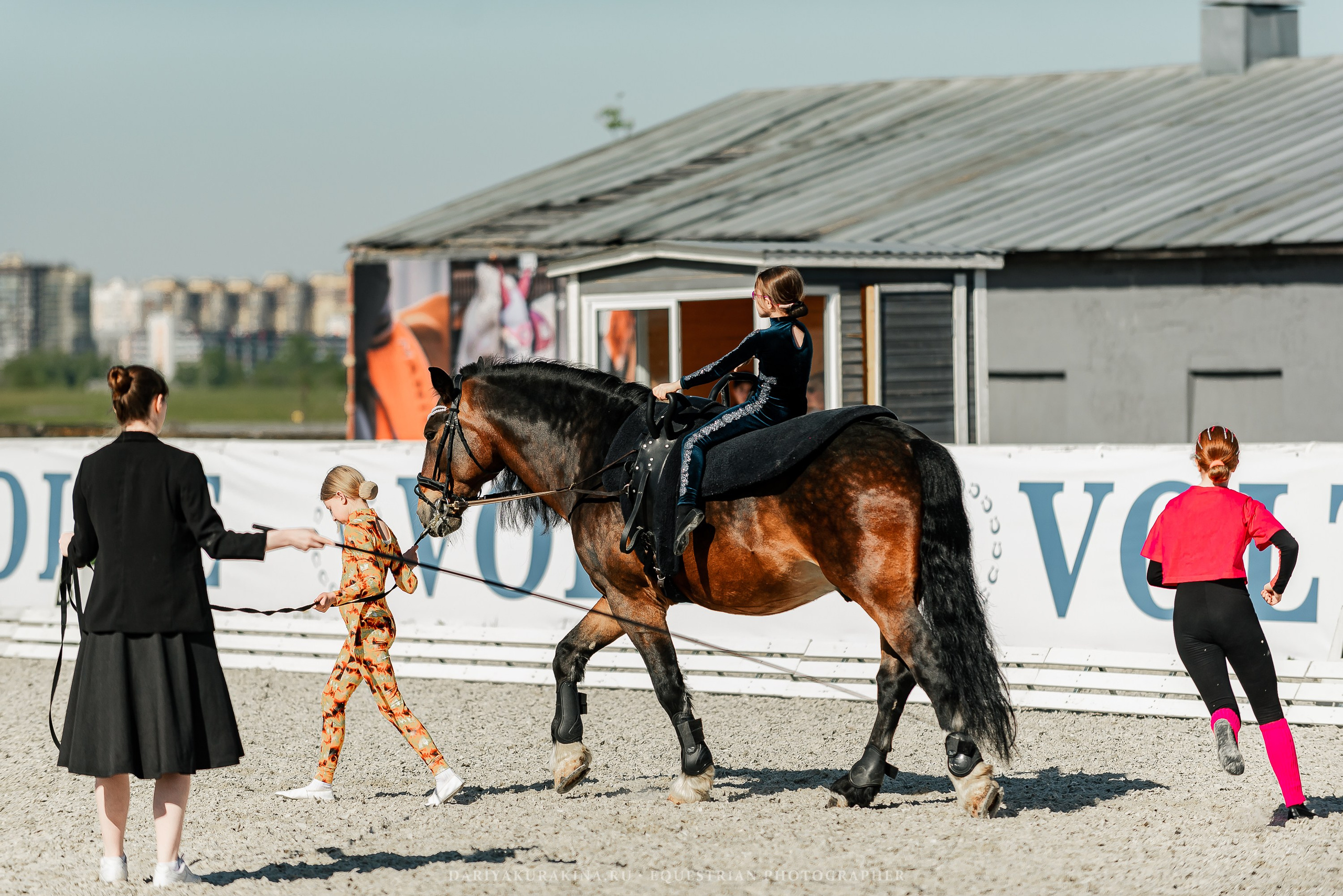 РЕПОРТАЖ МКК ВОЛЬТ «LA TULIPS». Конный фотограф Куракина Дарья • Фотосессии с лошадьми