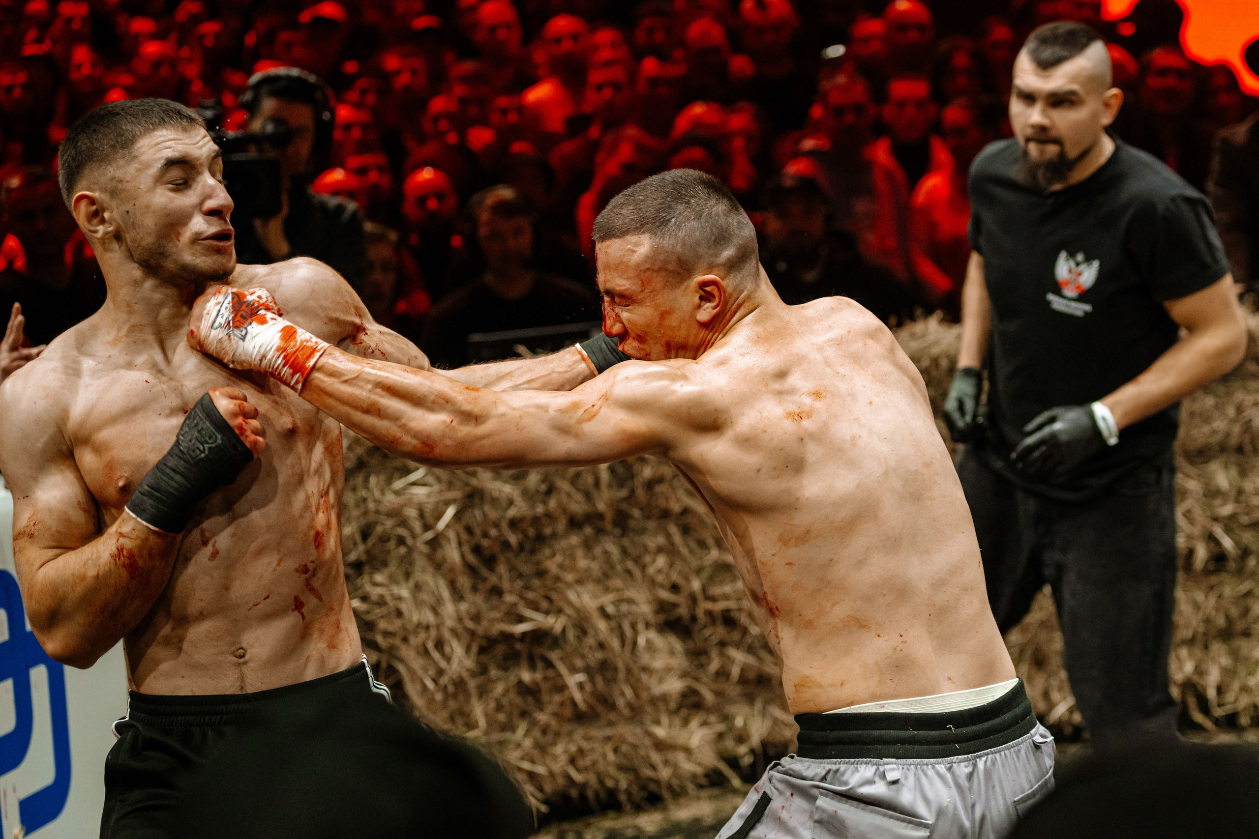 TOP DOG. Максим Комаров — Профессиональный фотограф