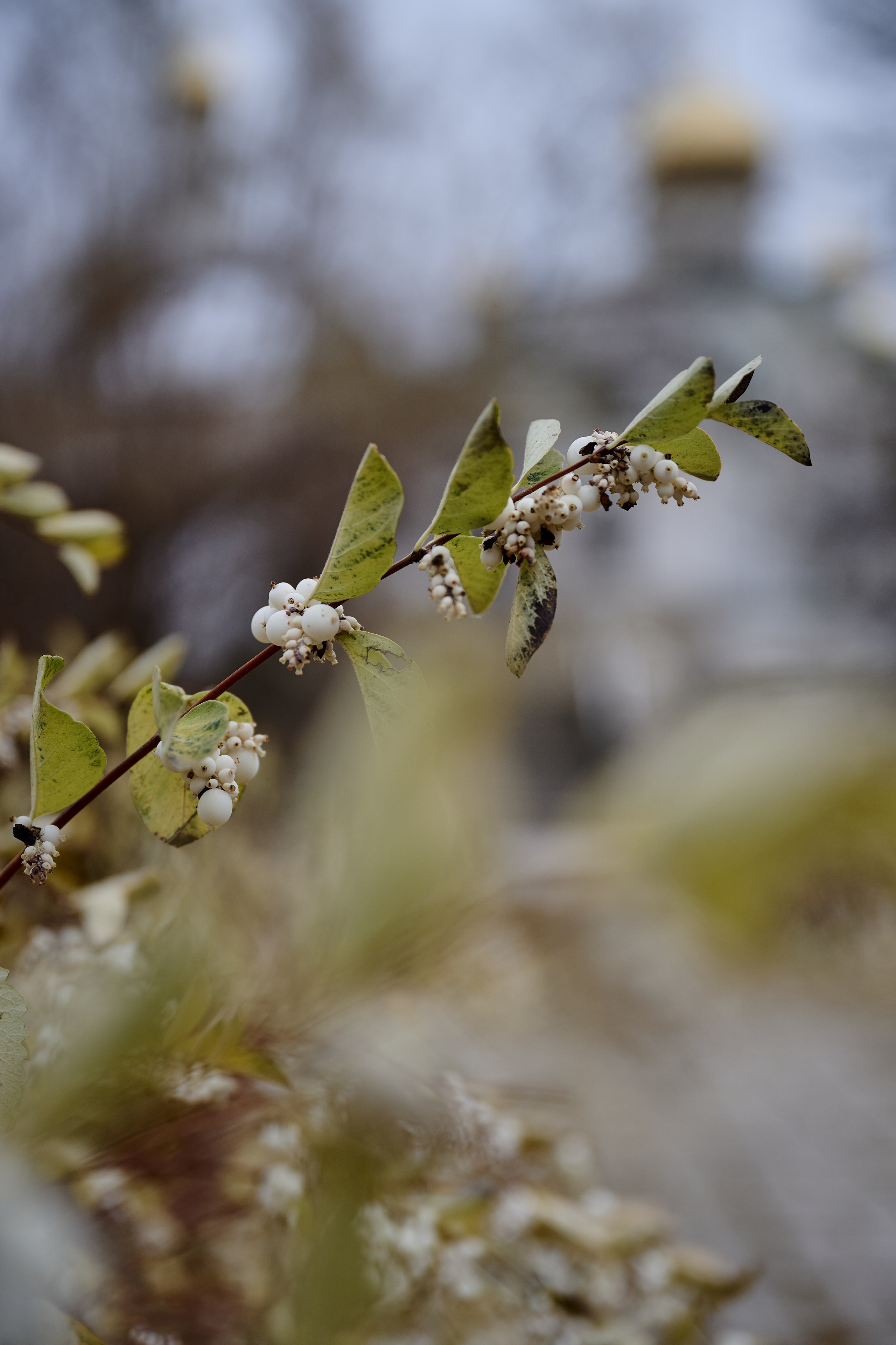 Рубежное. Луганская область. Фотопроект «Территории»