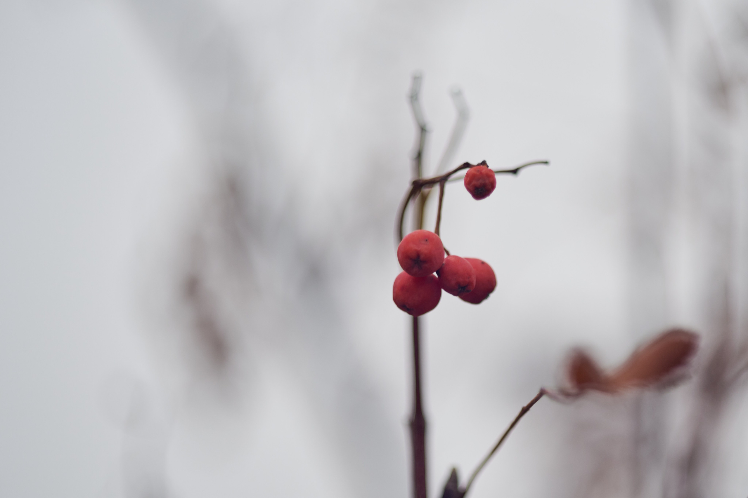 Лисичанск. Луганская область. Фотопроект «Территории»