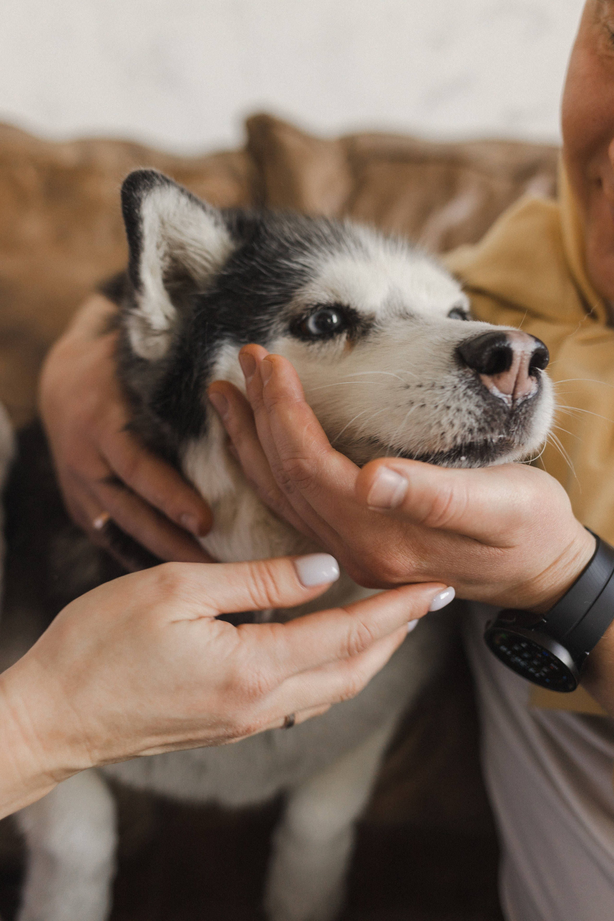 История семьи. Семейный фотограф в Москве