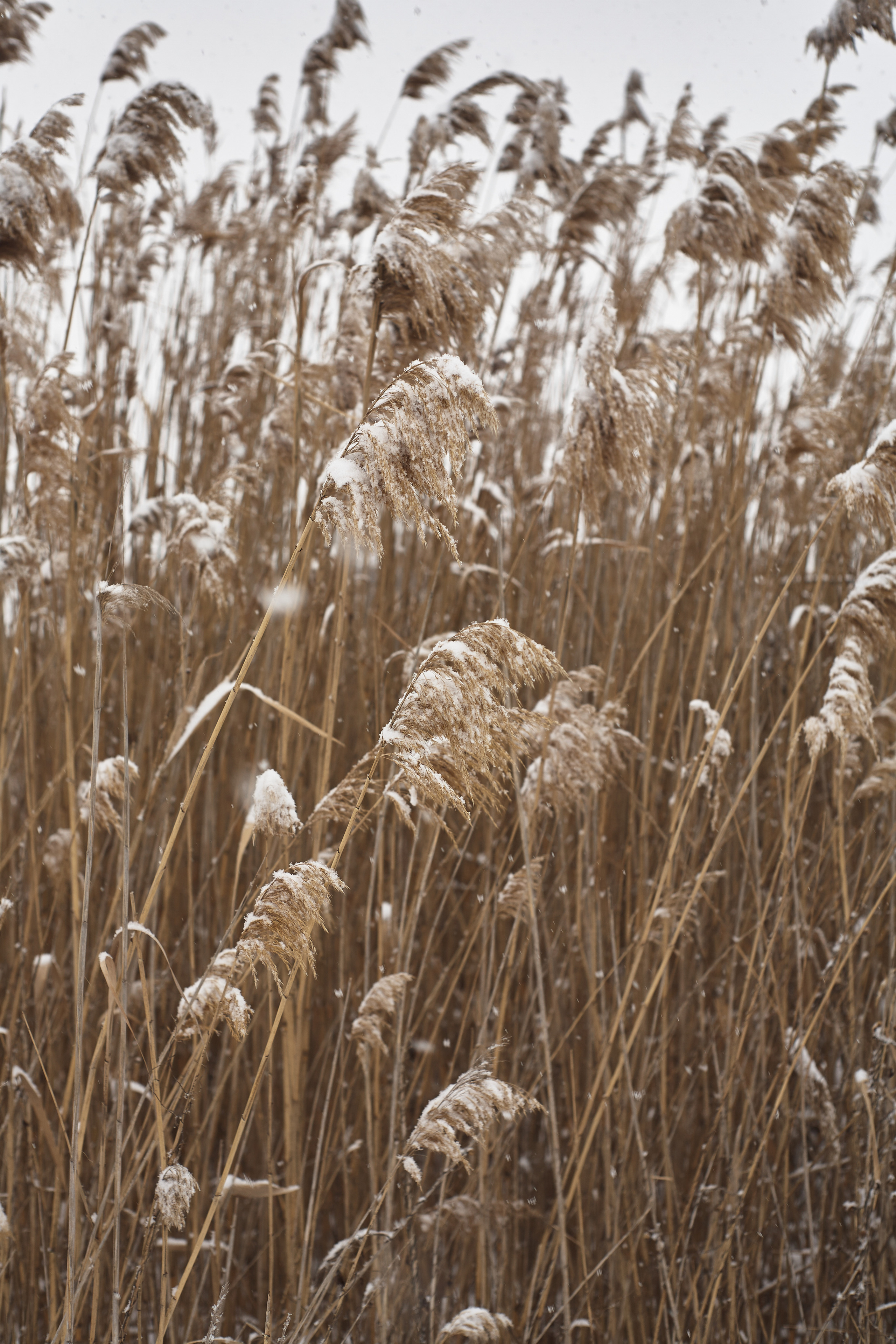 Фотограф в Волгограде Соколова Вера