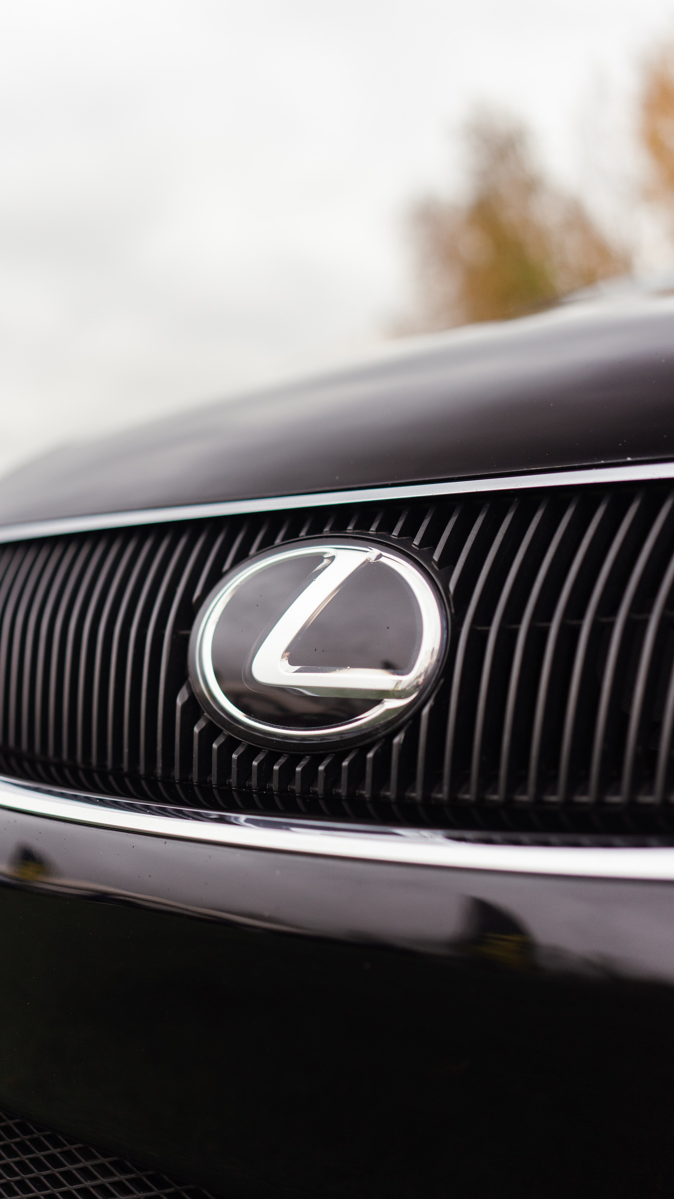 Fitment event 2023. Фотограф в СПБ Алмаз Камаев