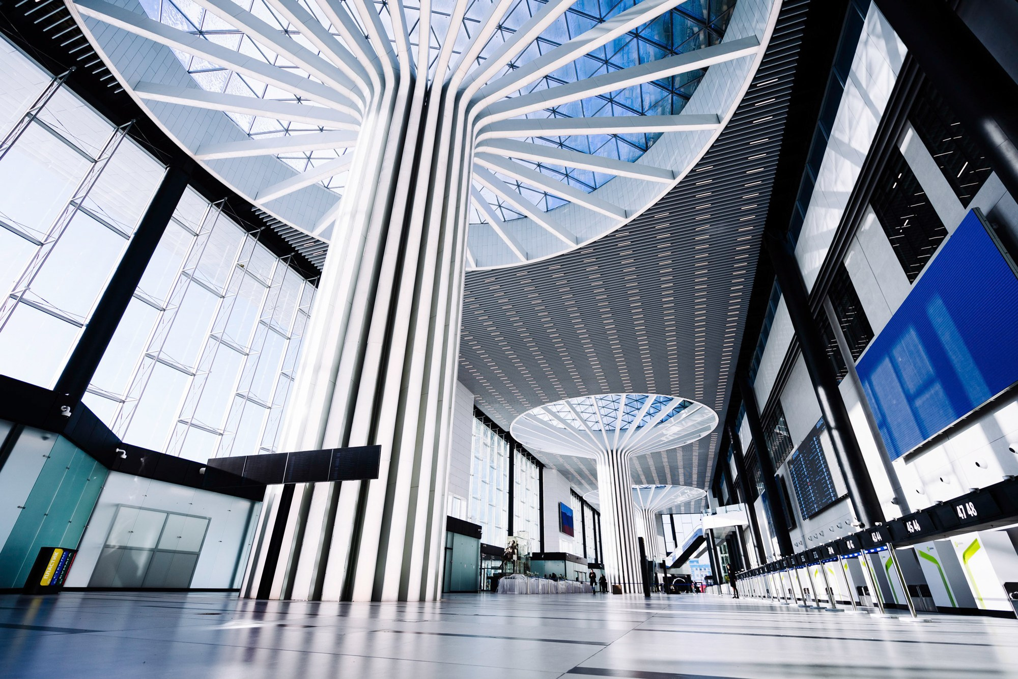 Открытие I Аэропорт Толмачево. Фотограф Новосибирск I Дамдинов Бато