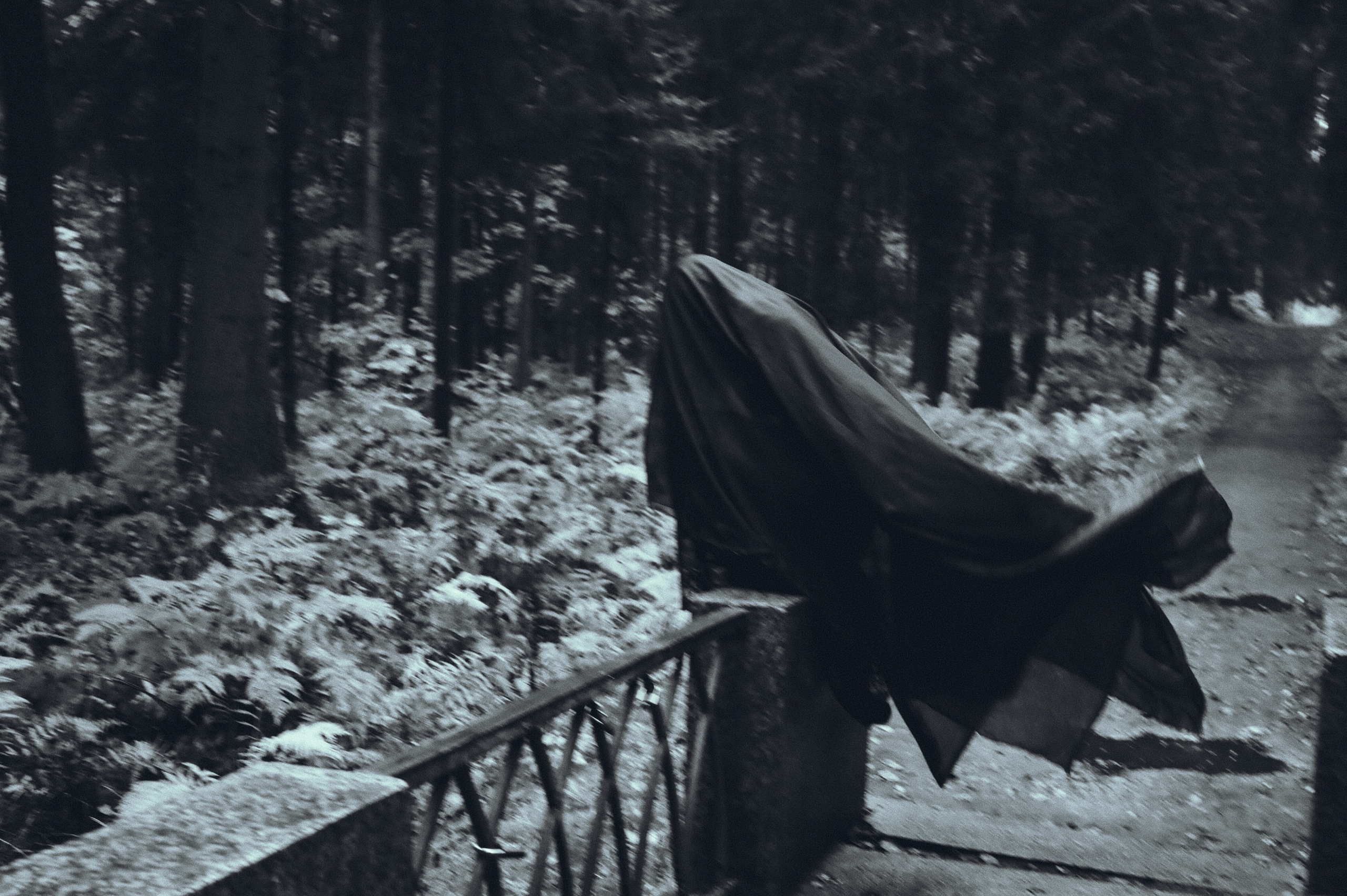 Вдохновление утренним туманом. Ваагн Малхасян | Фотограф | Санкт-Петербург. Создаю атмосферные кадры