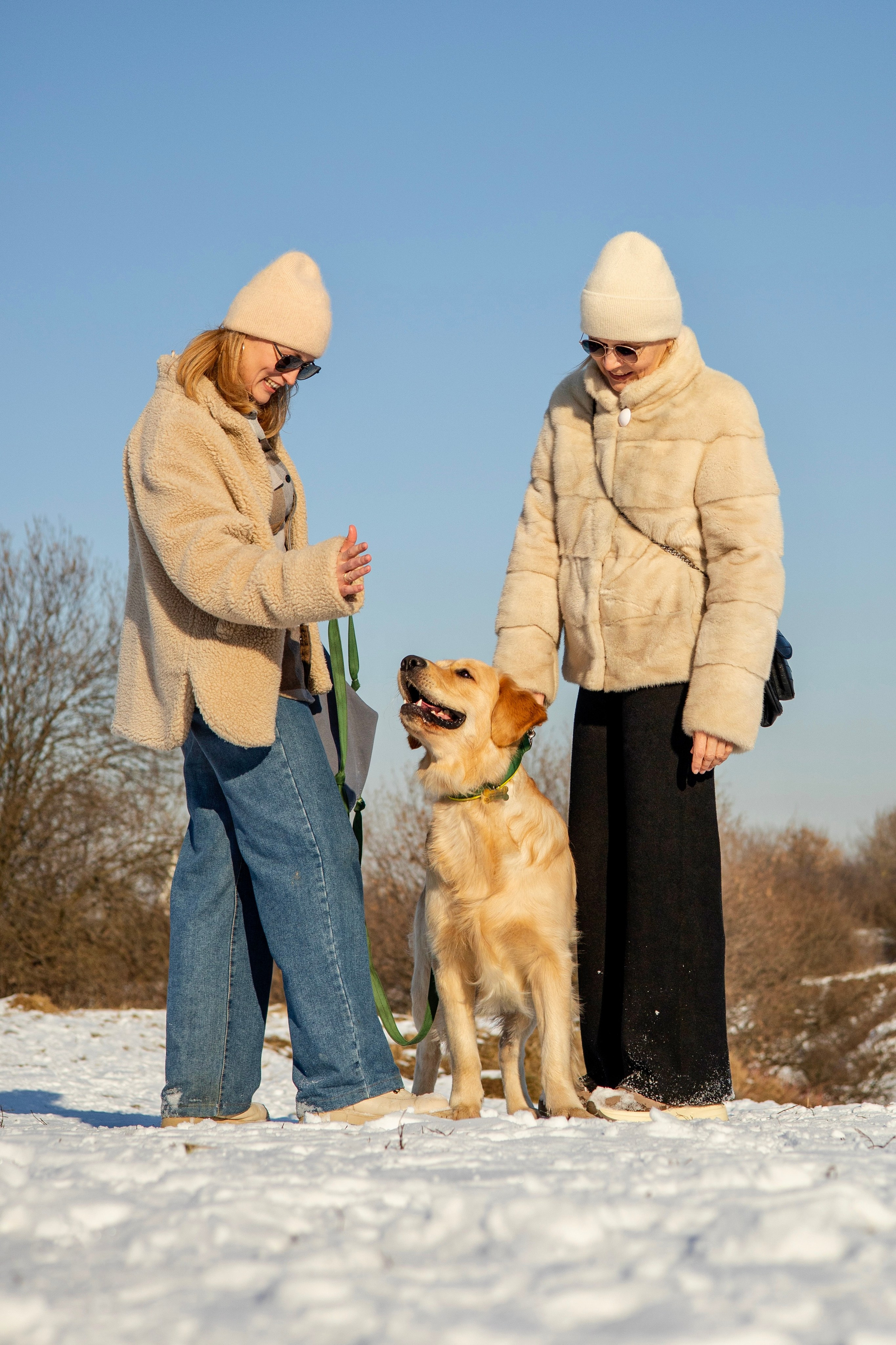 Ларри и его семья. Фотограф-анималист Ксения Шевцова|Москва