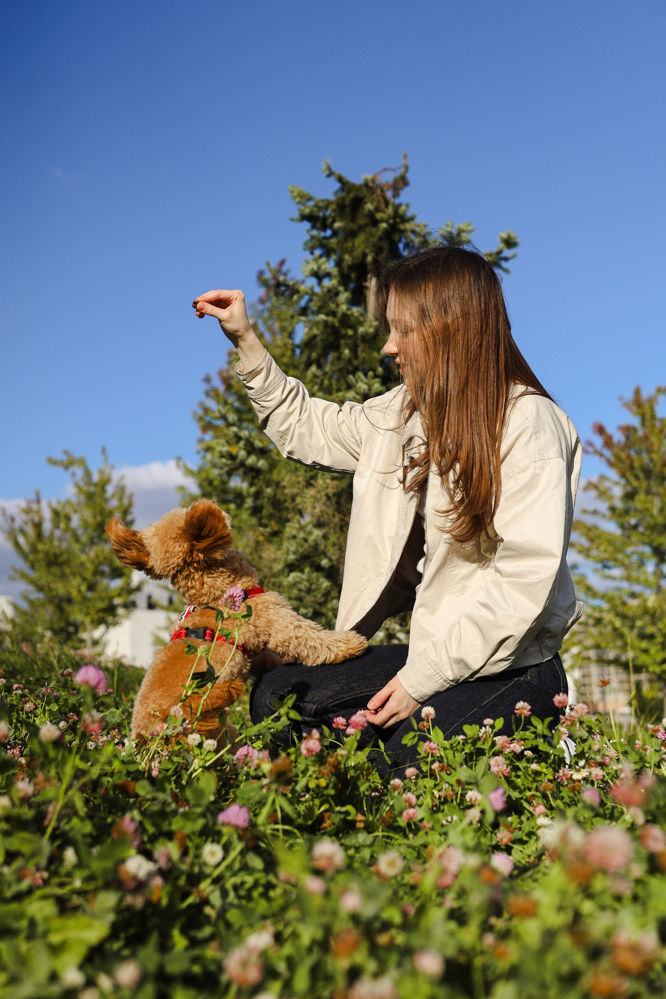 Поршик и Ксения. Фотограф-анималист Ксения Шевцова|Москва
