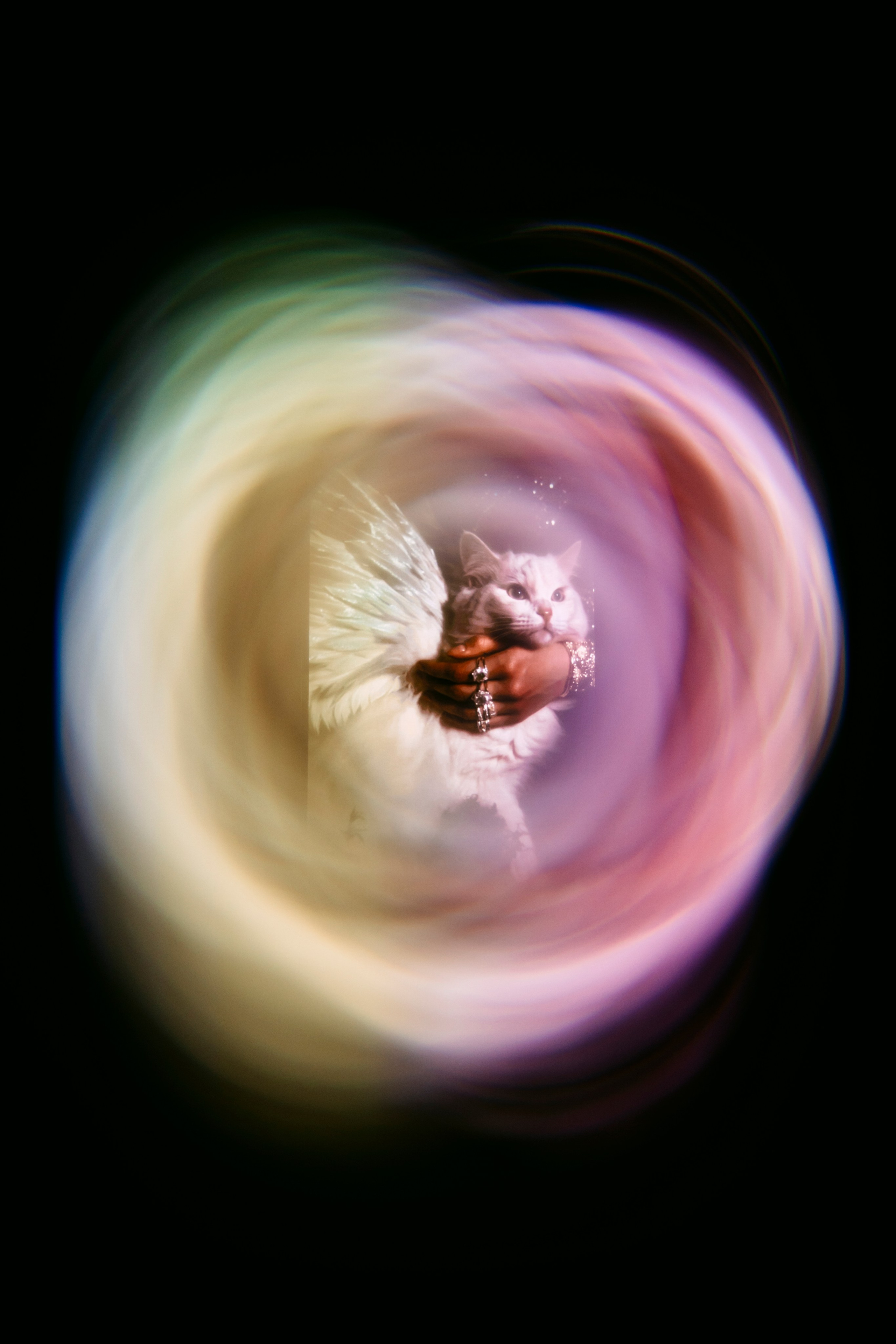 NUR NOW 2026. Главная