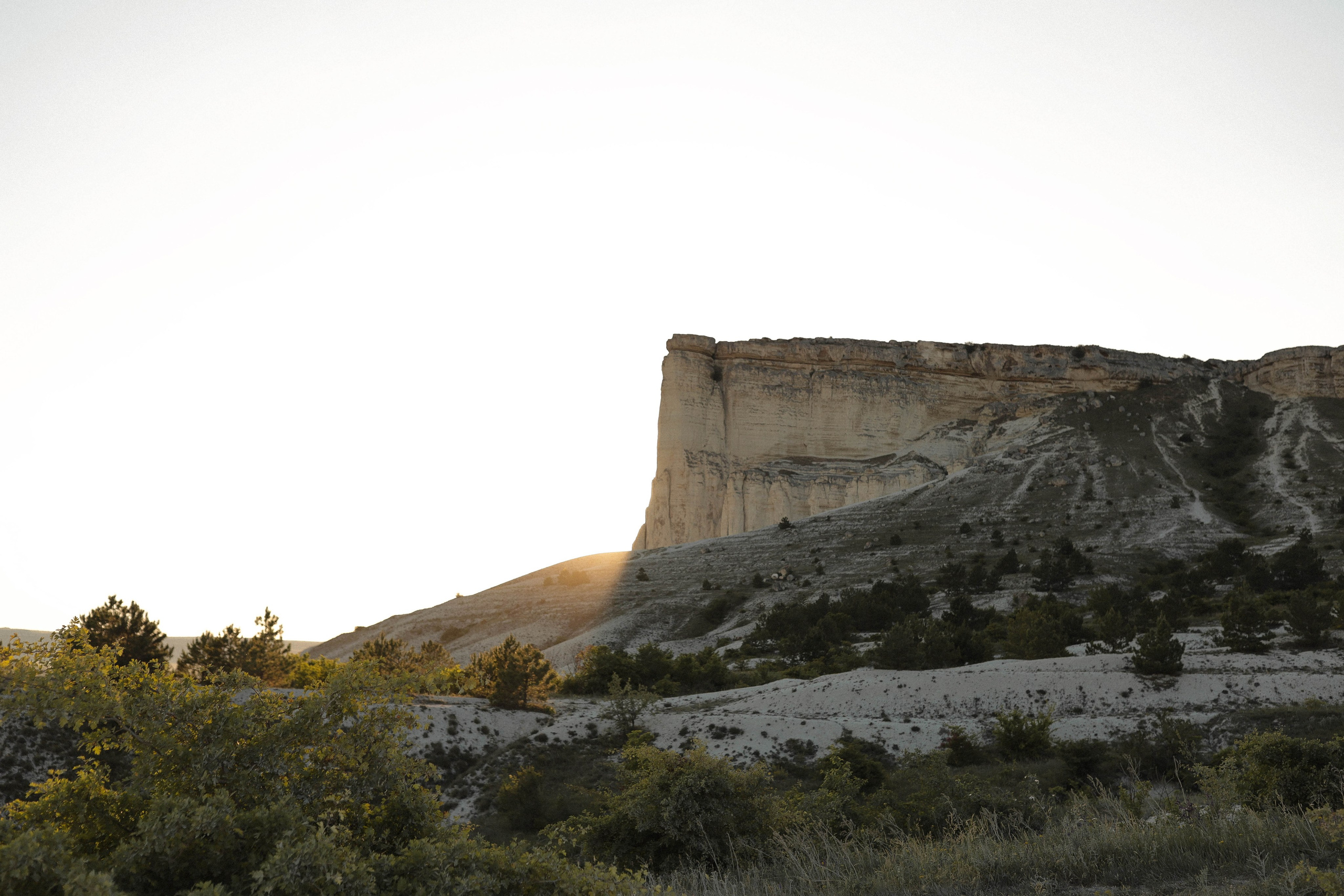 Август — это Лев. Свадебный и семейный фотограф Судак, Крым, Симферополь, Феодосия, Коктебель и по России