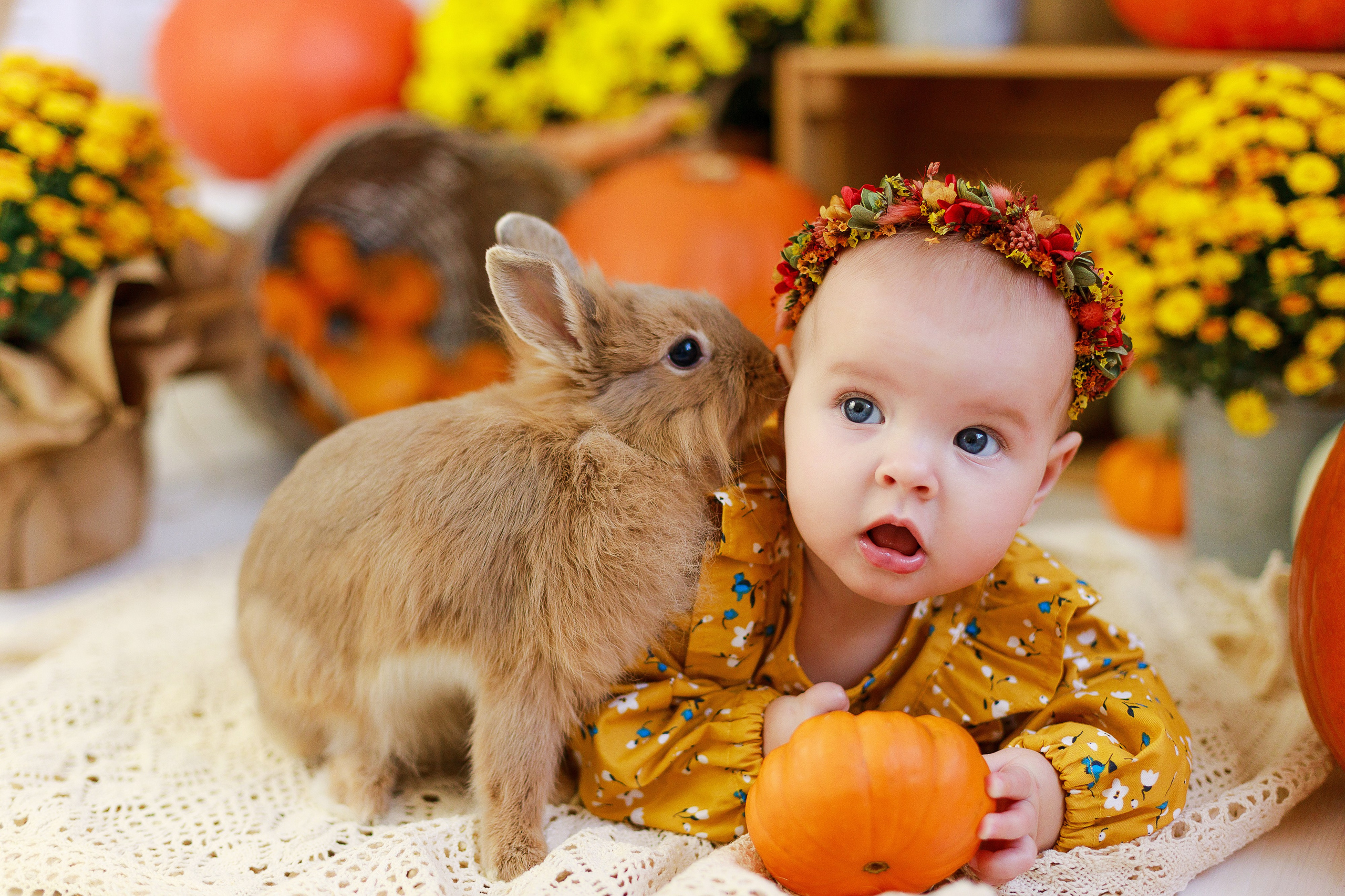 Осенняя детская фотосессия с тыквами и кроликом в Краснодаре. Детский и семейный фотограф в Краснодаре Альбина Морозова