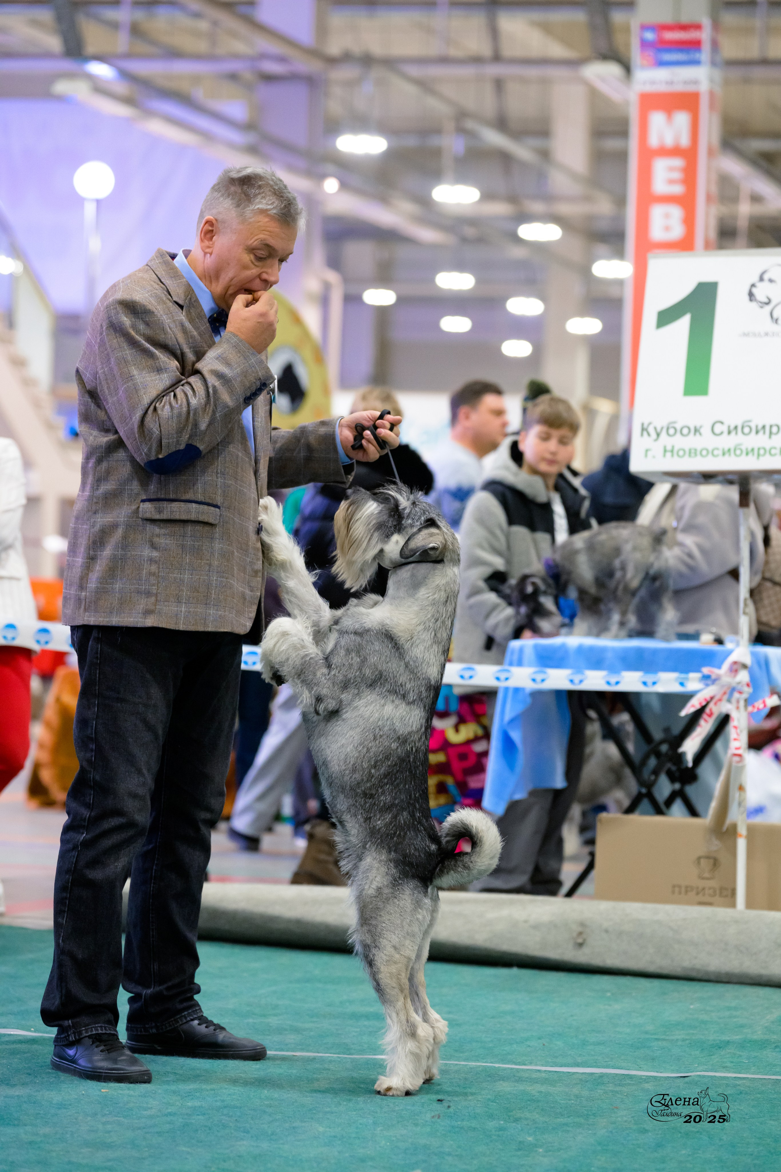 6-7.12.2025 г.Новосибирск. Фотограф анималист Елена Галдина г. Красноярск