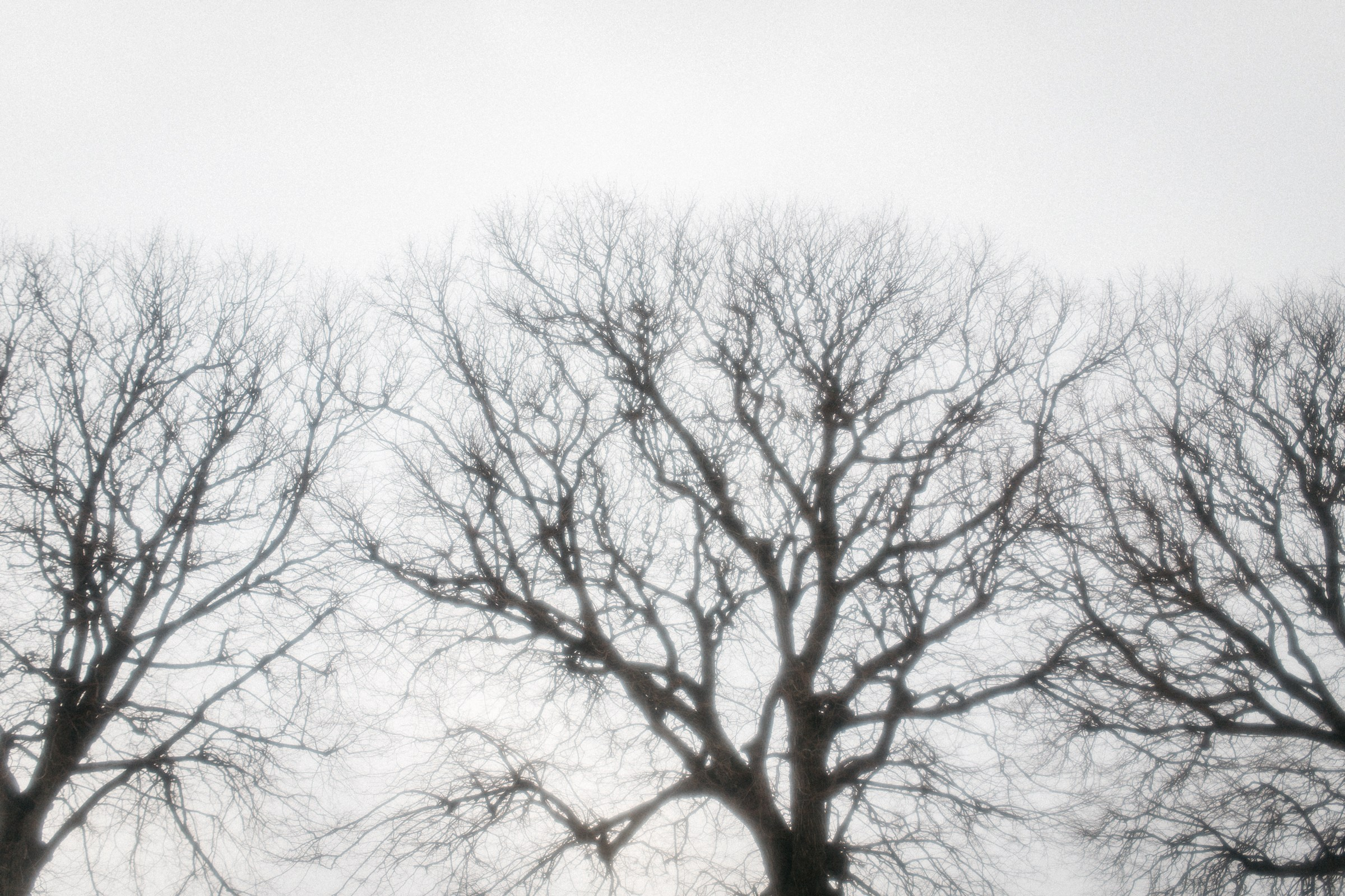 Фотопрогулка love story в Питере