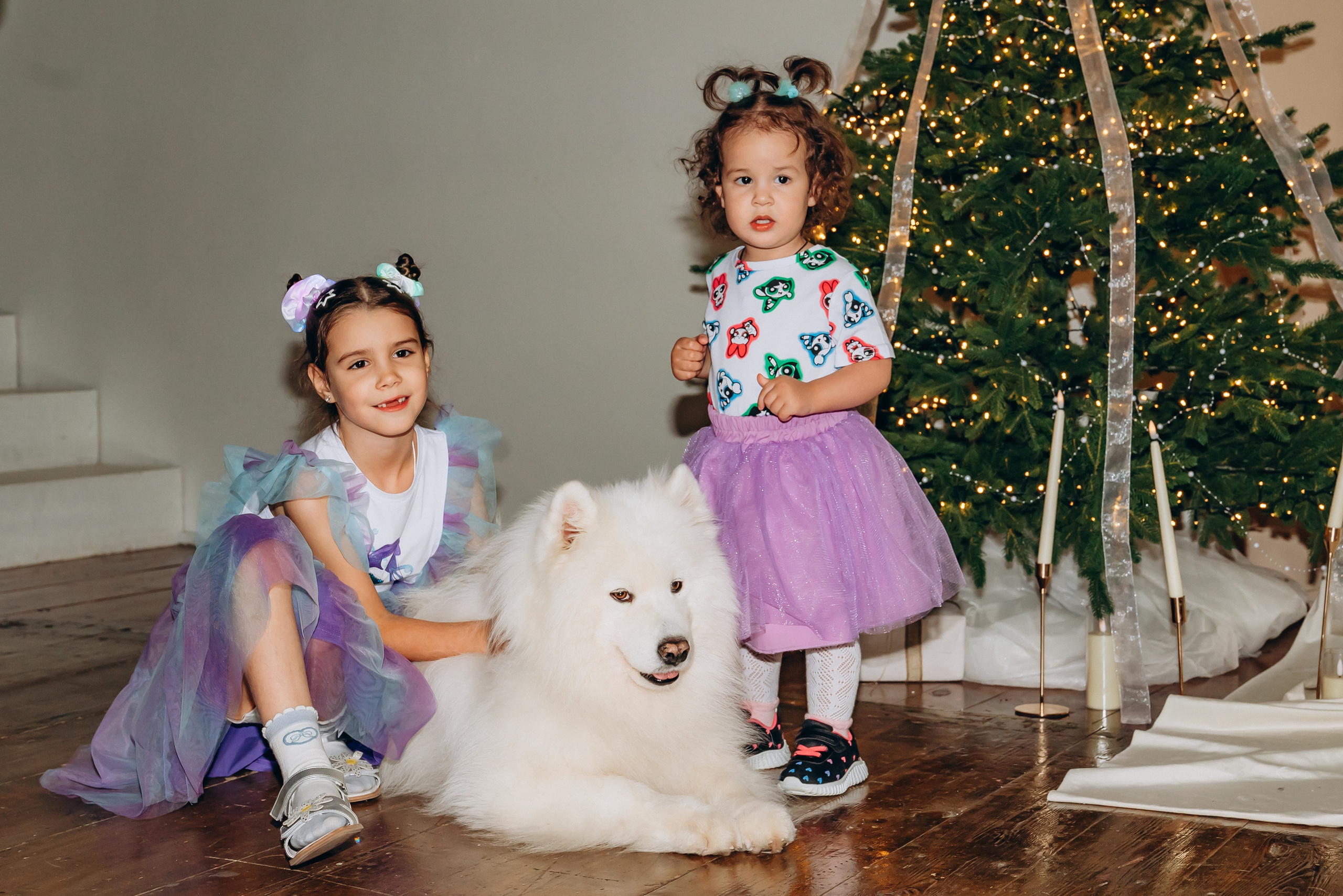 Новый год с самоедом