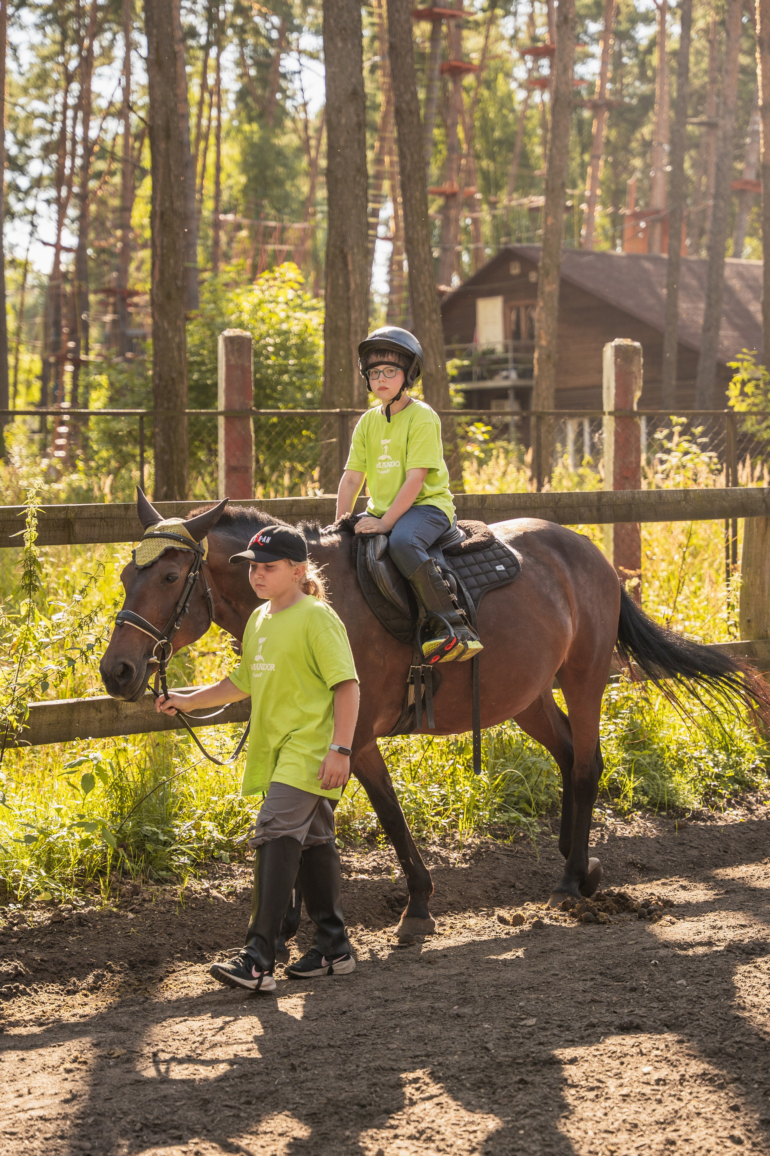 Конное занятие. Главная
