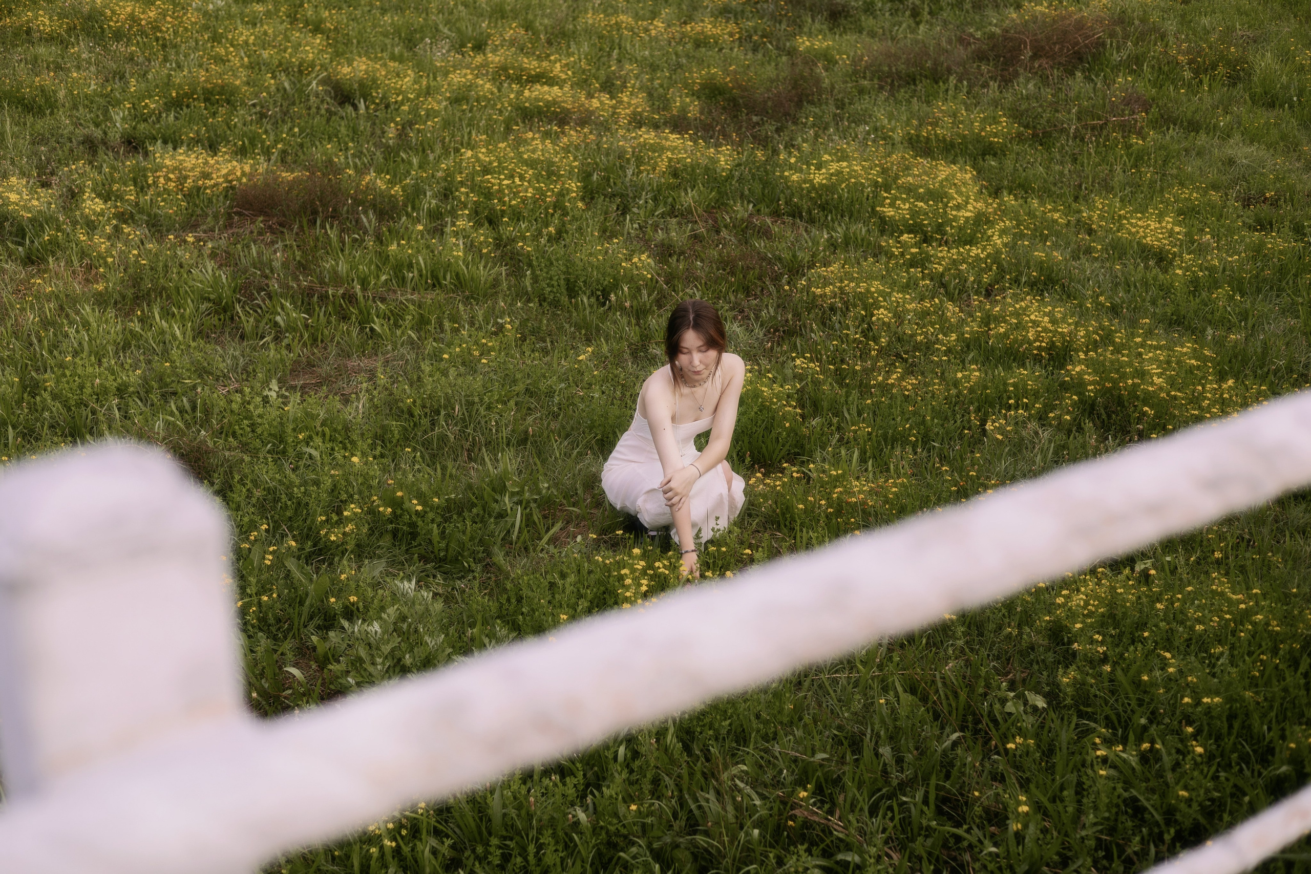 Norwegian wood. Фотограф Бишкек