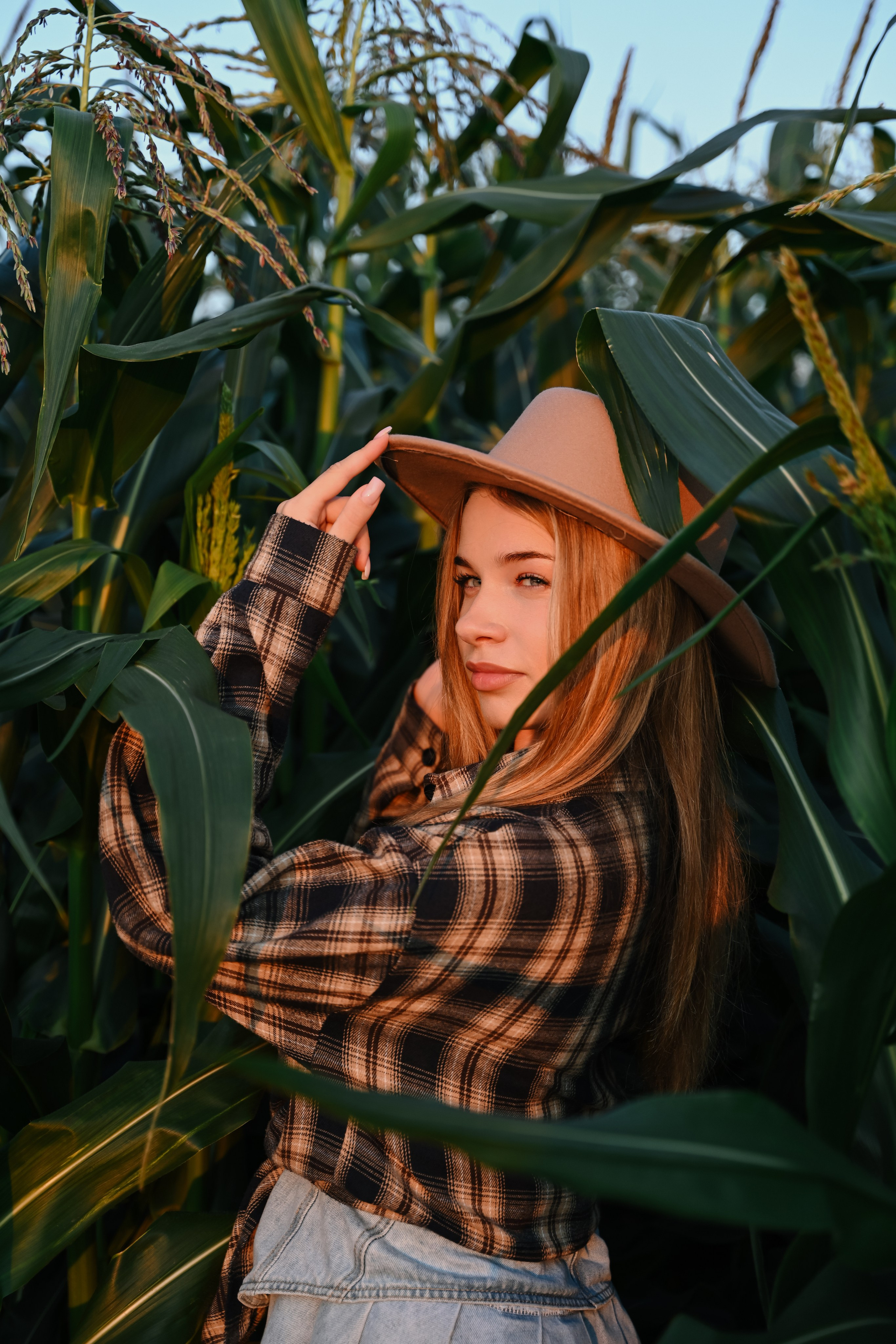 Лето. поле. Фотограф Косачева Екатерина