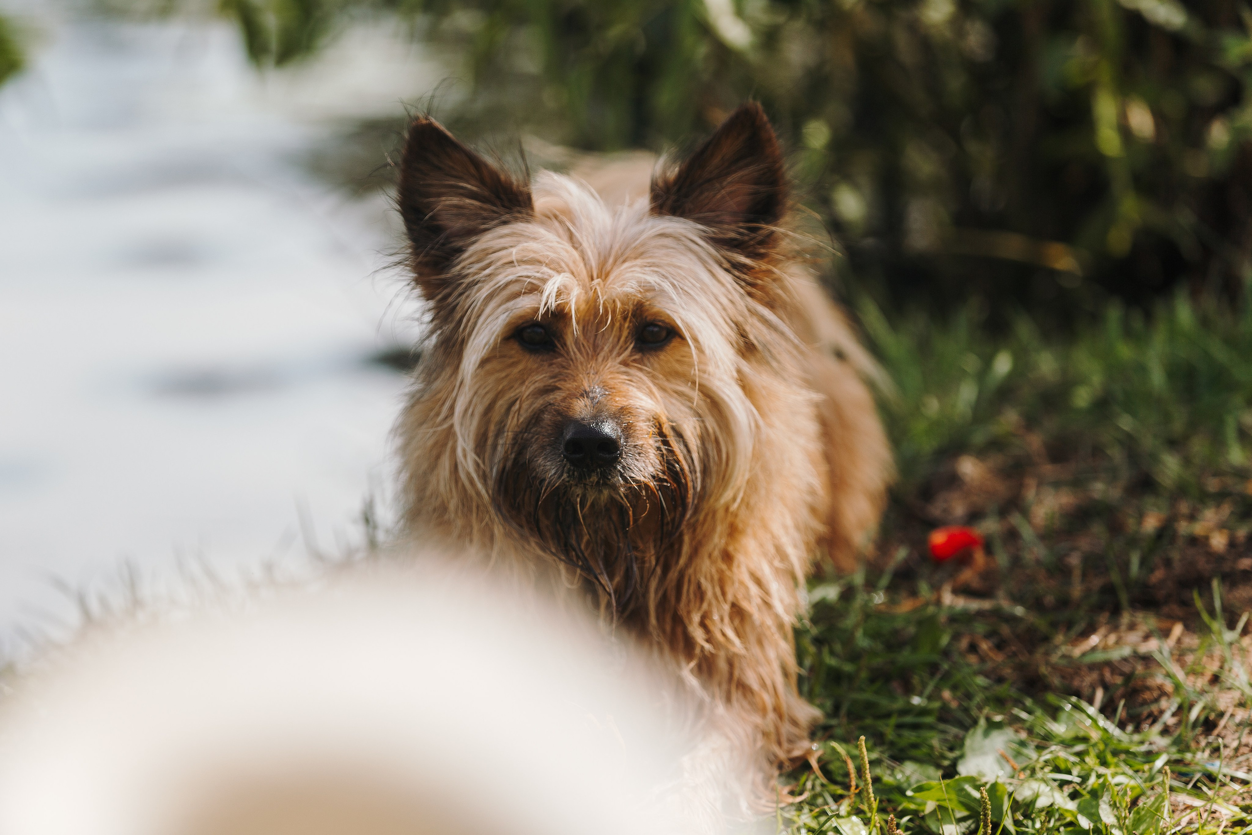 Petshop Sup day. Фотограф анималист Кристина Карпова, Москва