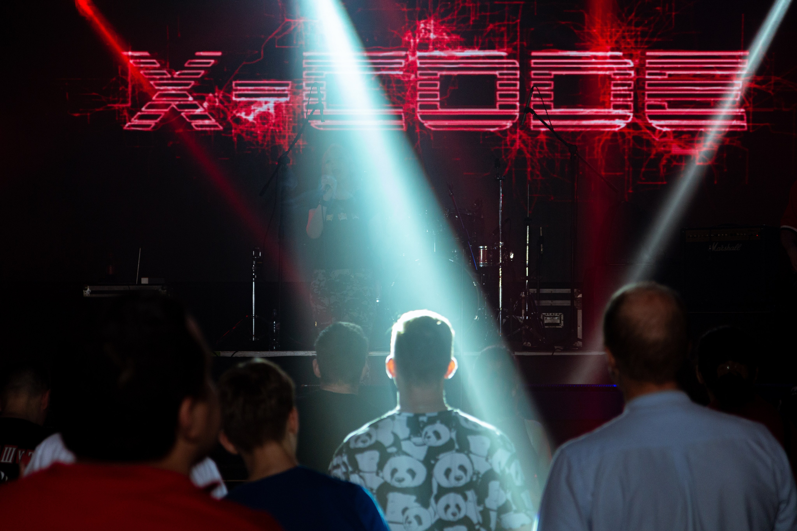 Концерты. Предметный и репортажный фотограф Алексей Кротов