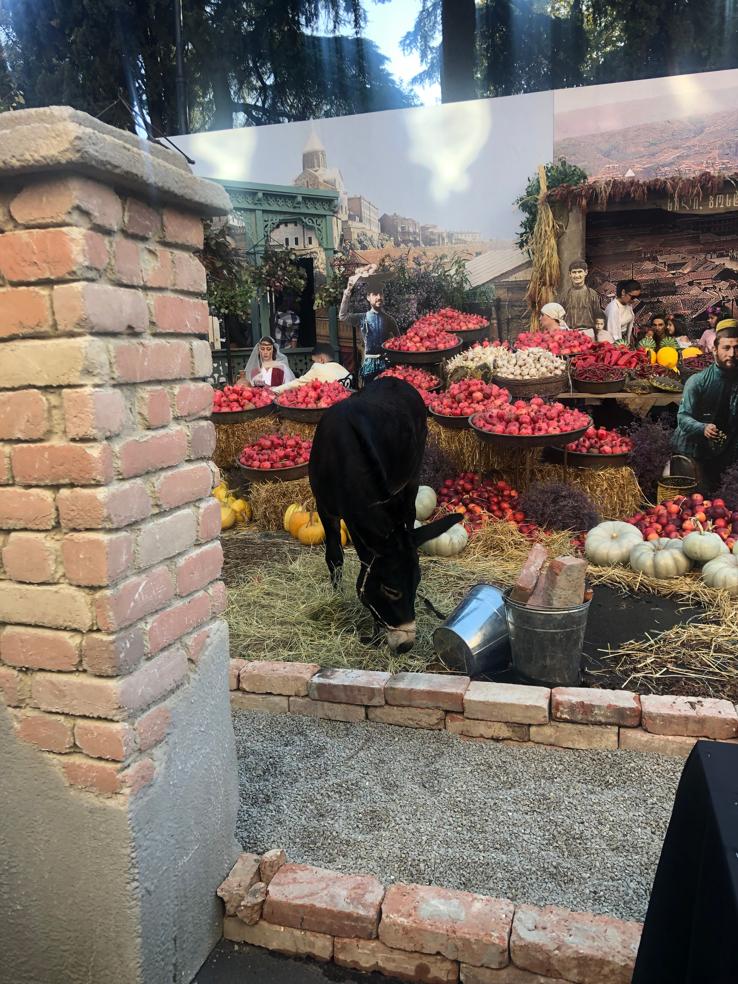 Тбилисоба. Anita_photo