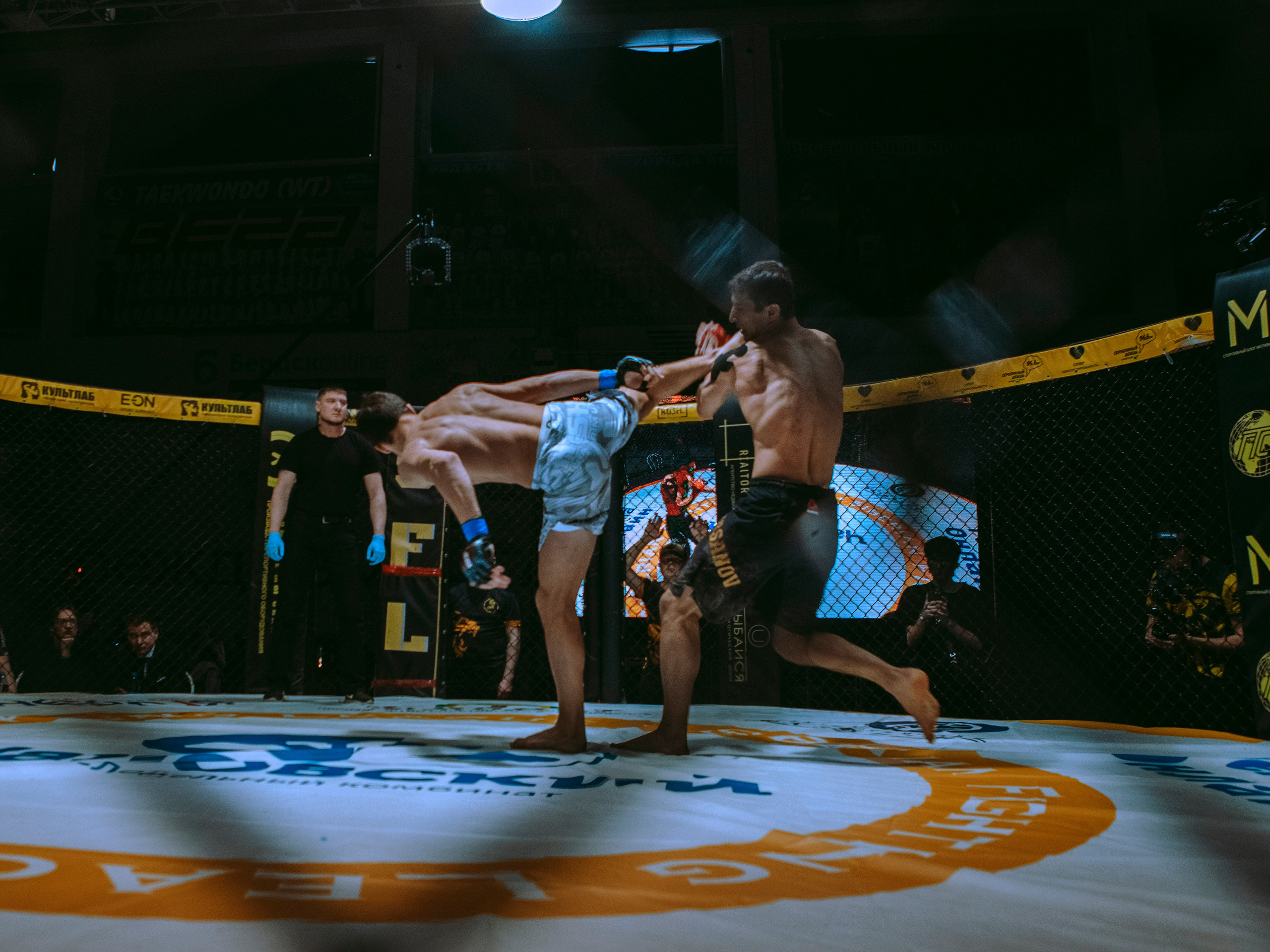 SFL 17 | Siberian Fighting League. Портретный фотограф в Москве Дарья Цезария
