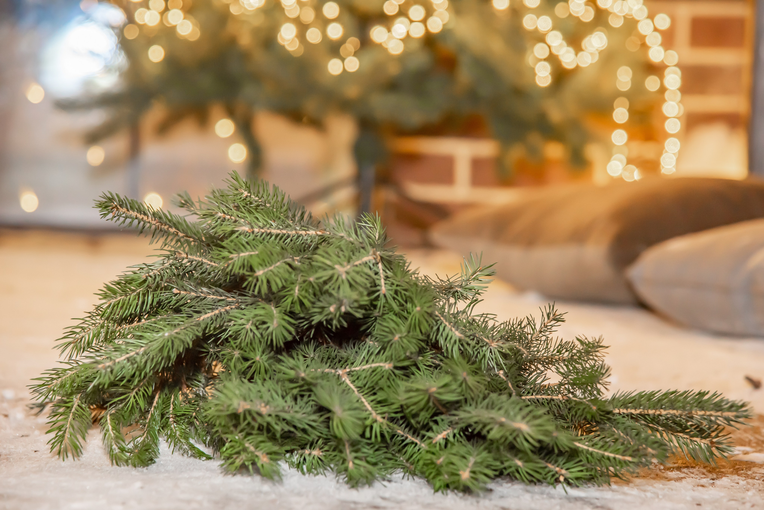 Новогоднее предложение. Семейный и детский фотограф в Москве Шмыкова Екатерина