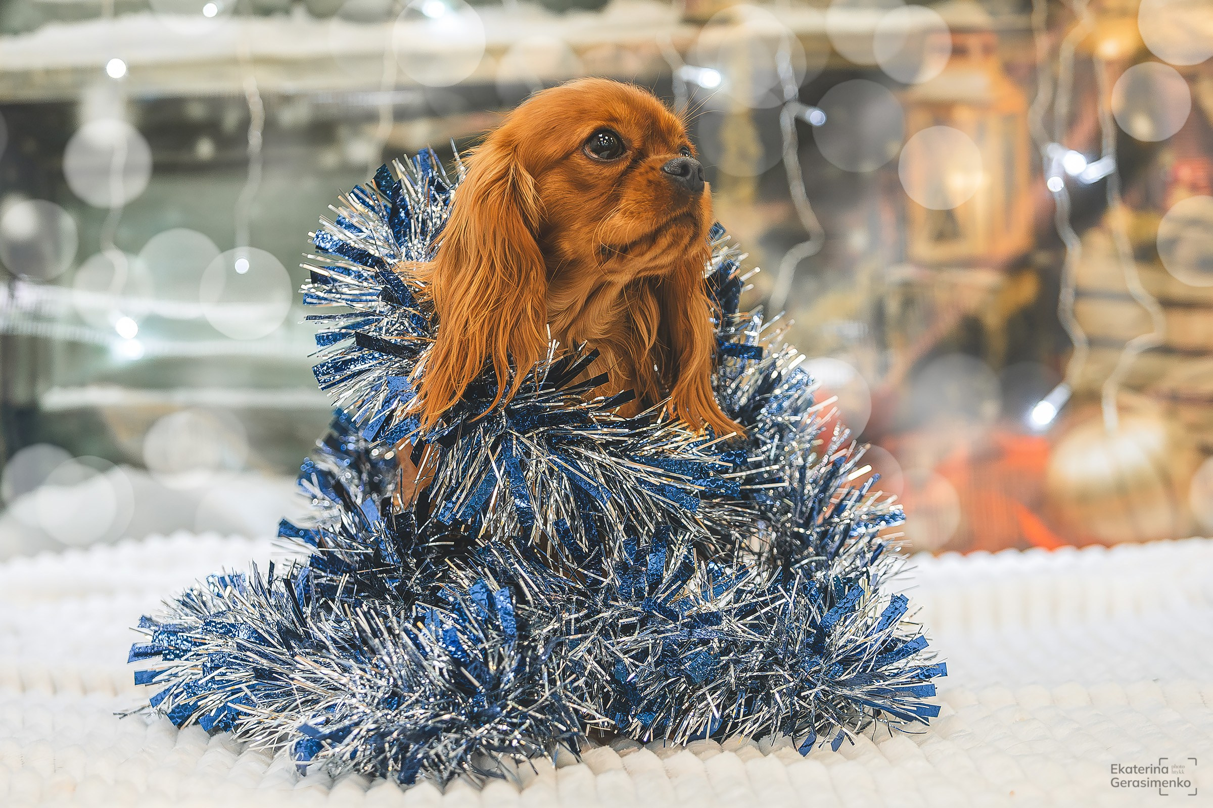 Фотодень. Htykk_photo