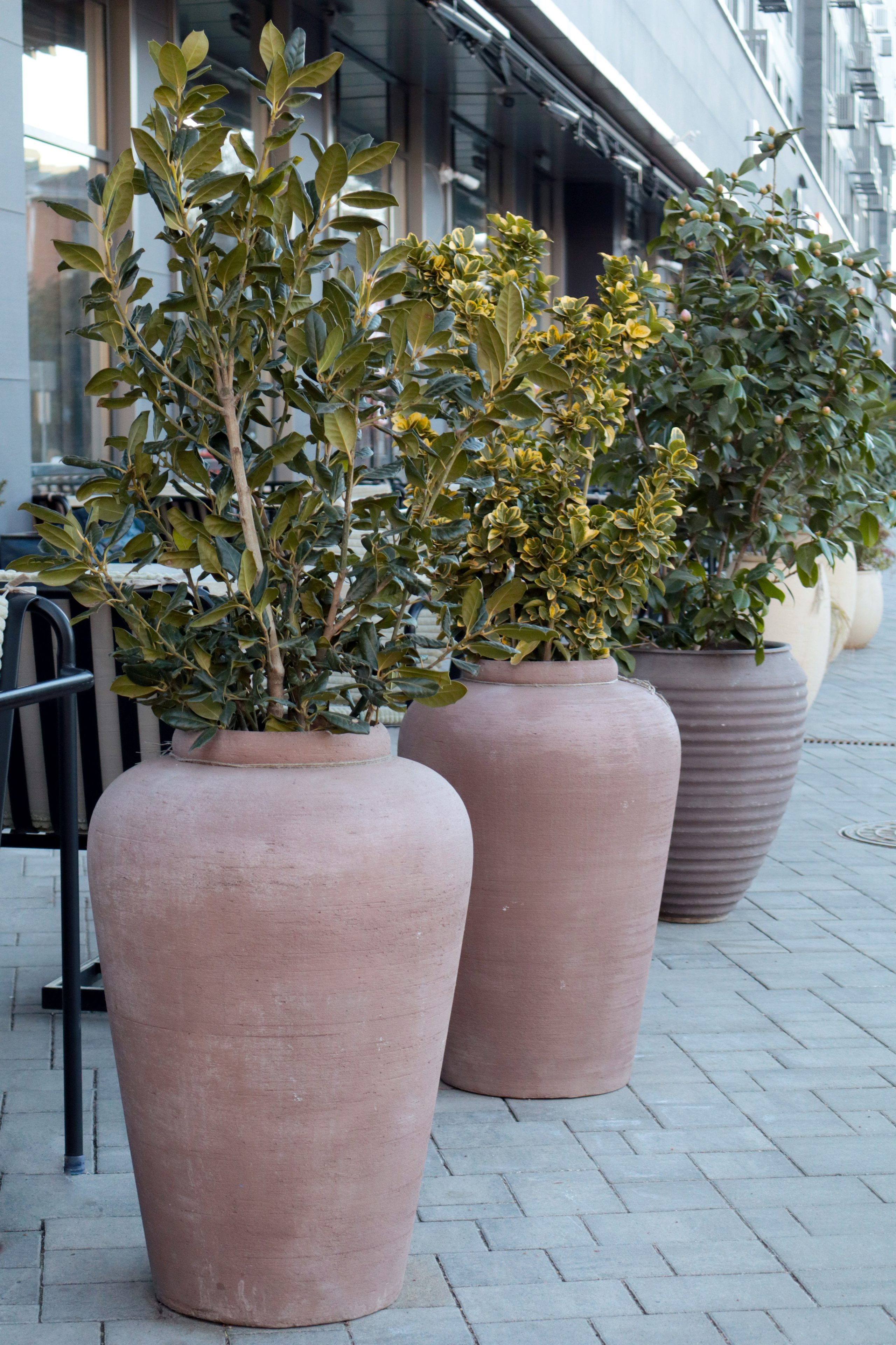 Риелтор. Фотограф | Контент и Визуал | Краснодар