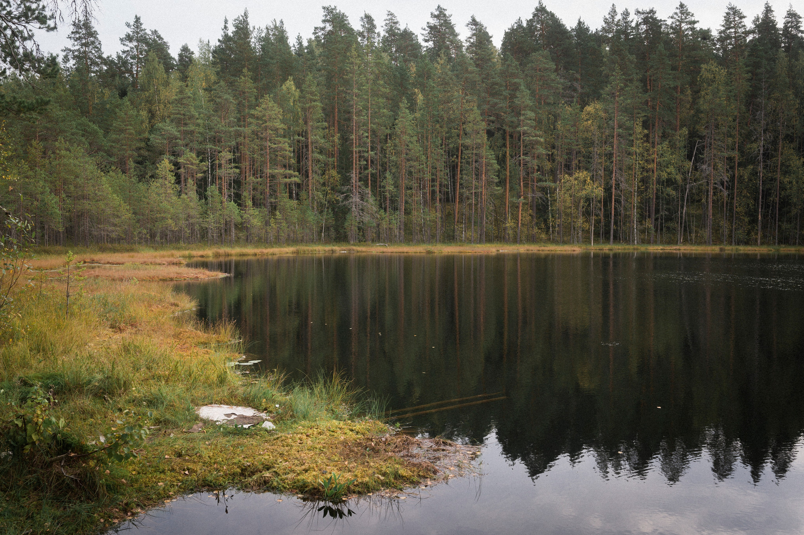 North 2024. Kartascheff