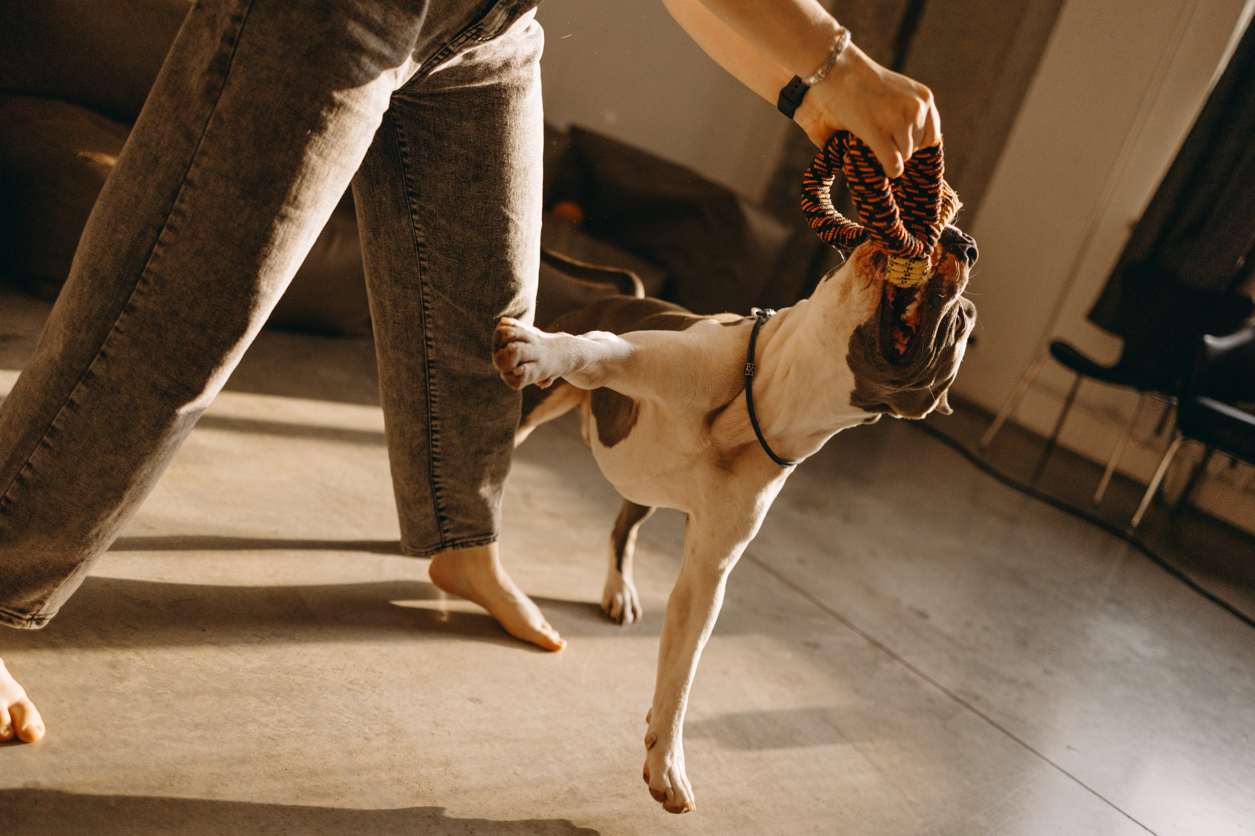 Саша и Кракен. Фотограф — Анималист | Санкт-Петербург