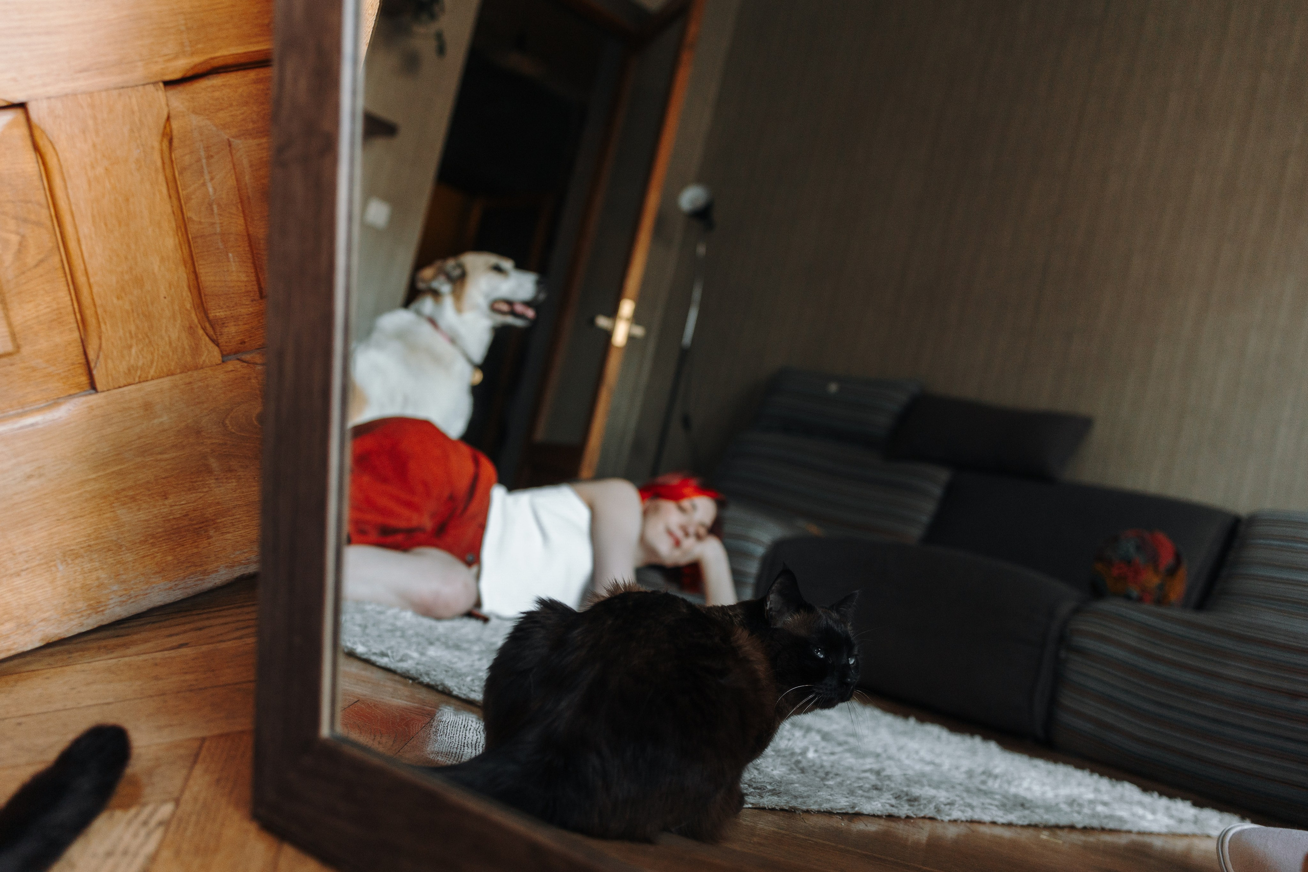 Саша и ее хвосты. Фотограф — Анималист | Санкт-Петербург